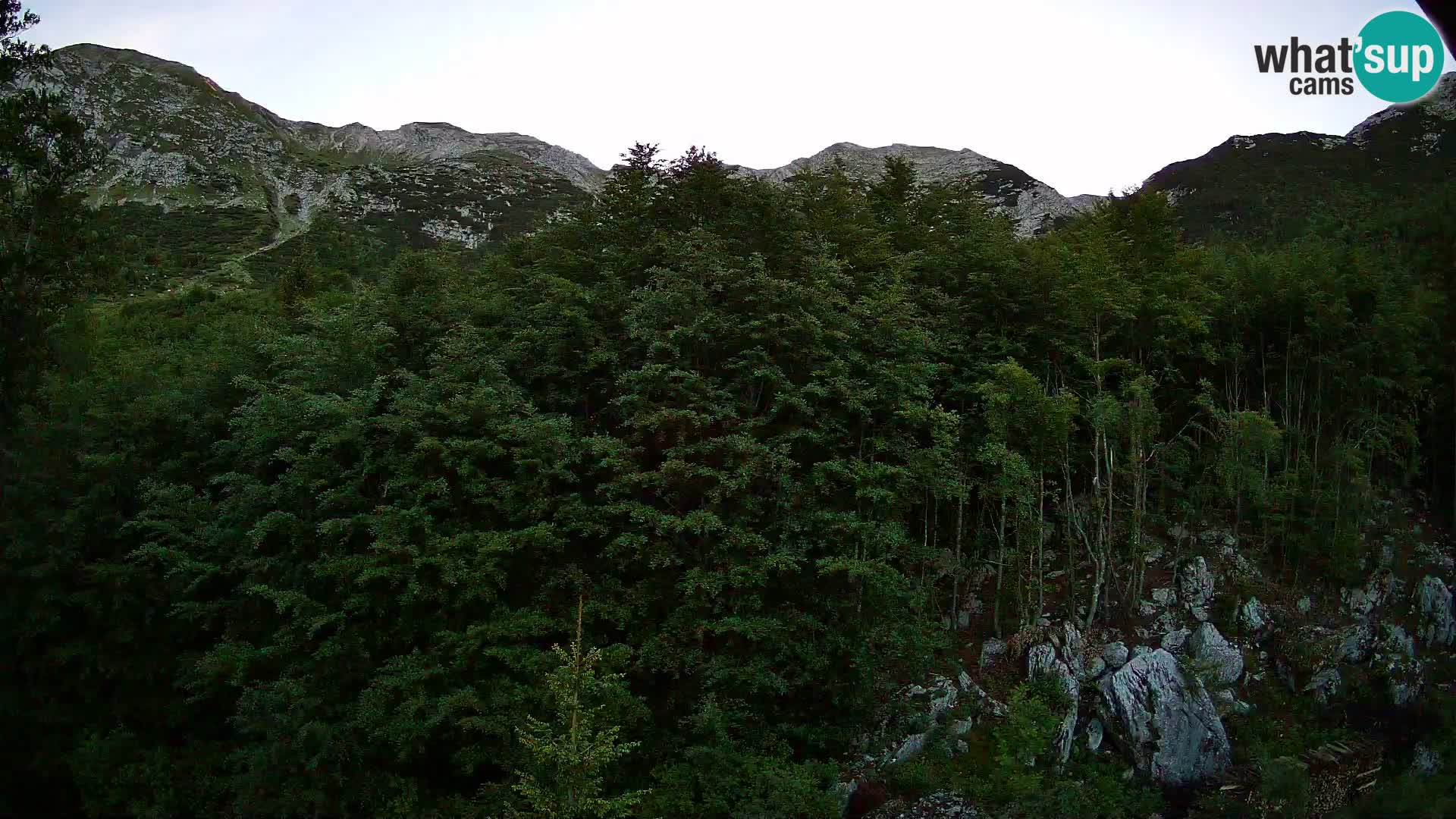 PLANINA RAZOR webcam (1315) | view to Vogel and Globoko
