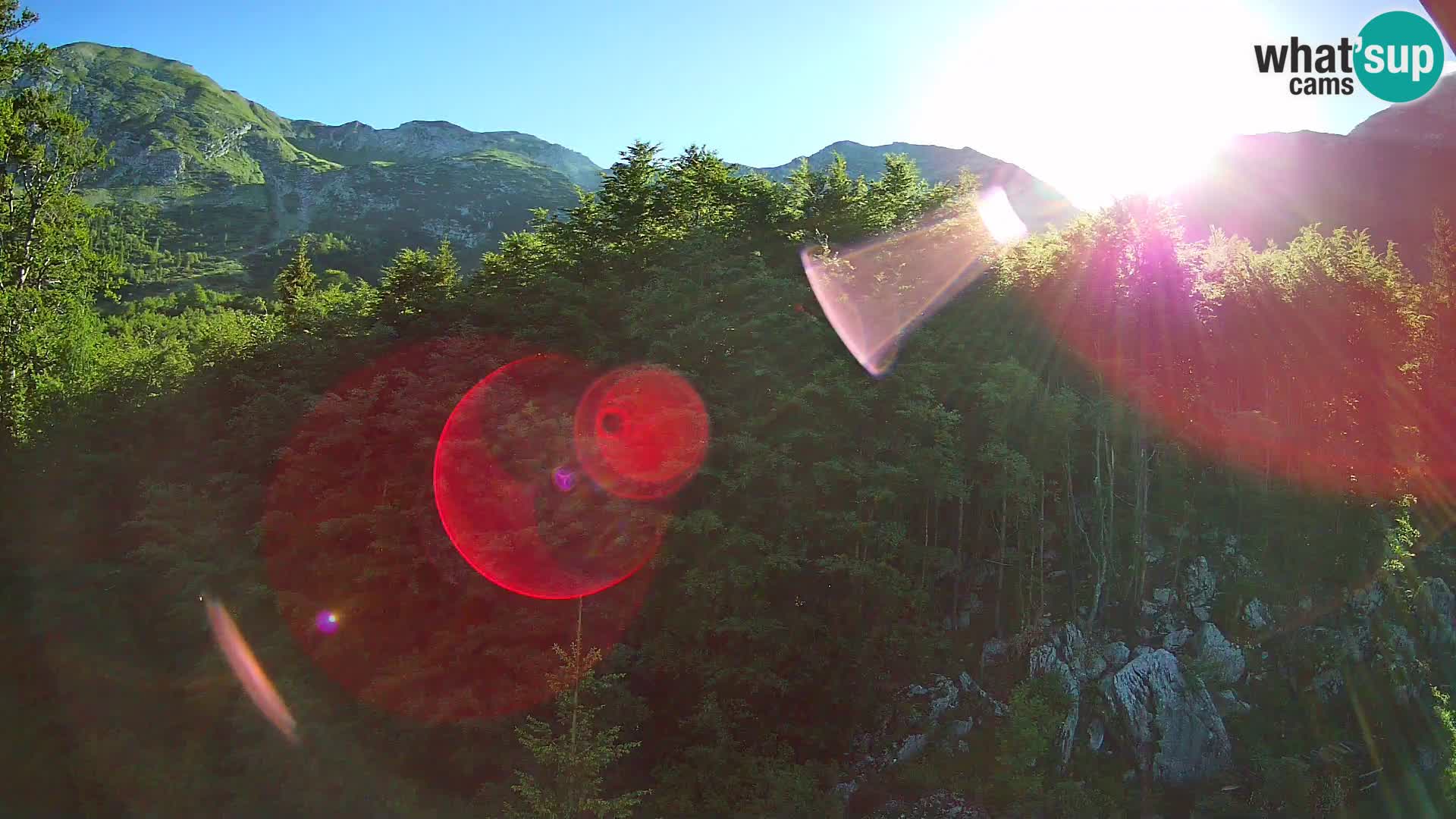 Webcam PLANINA RAZOR (1315) | Blick auf Vogel und Globoko