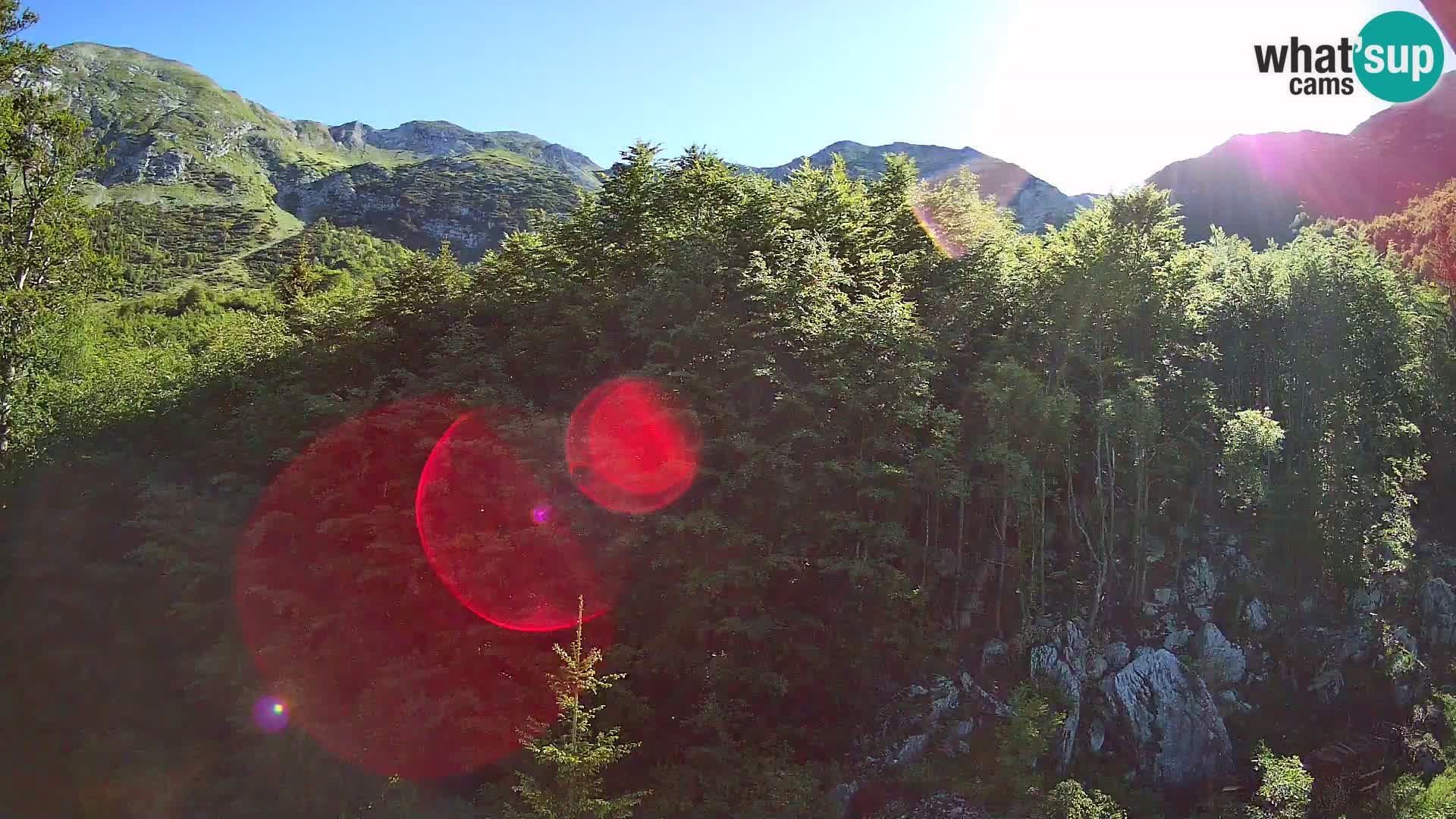 Webcam PLANINA RAZOR (1315) | Blick auf Vogel und Globoko