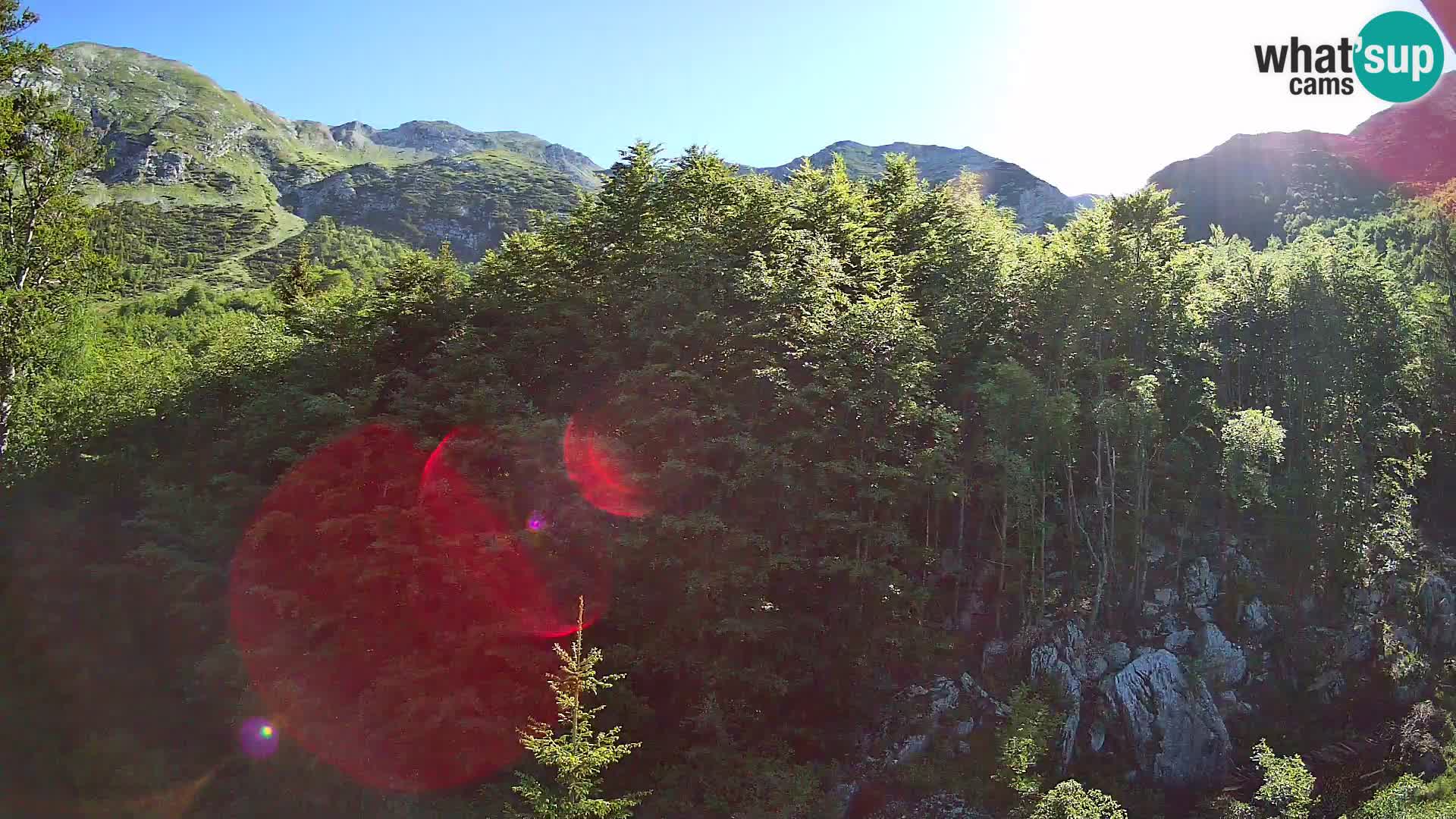 PLANINA RAZOR webcam (1315) | view to Vogel and Globoko