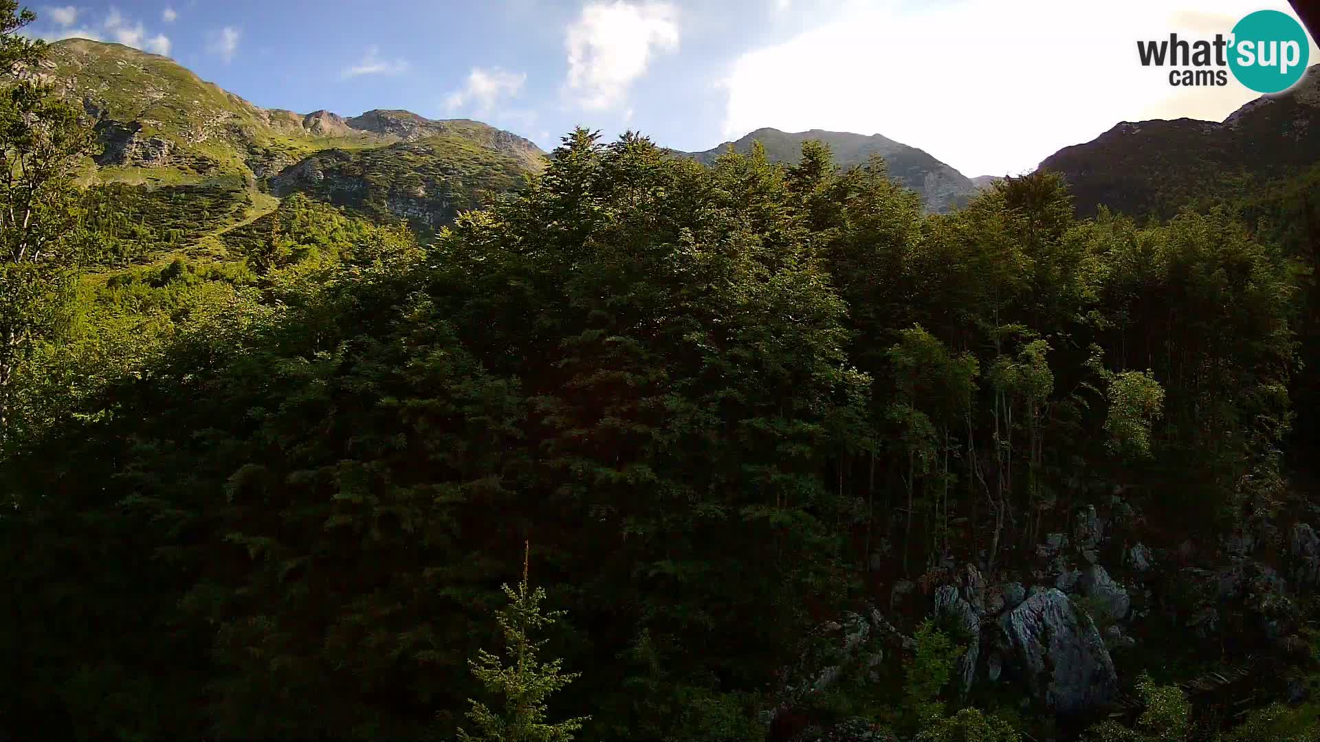 Webcam PLANINA RAZOR (1315) | Blick auf Vogel und Globoko