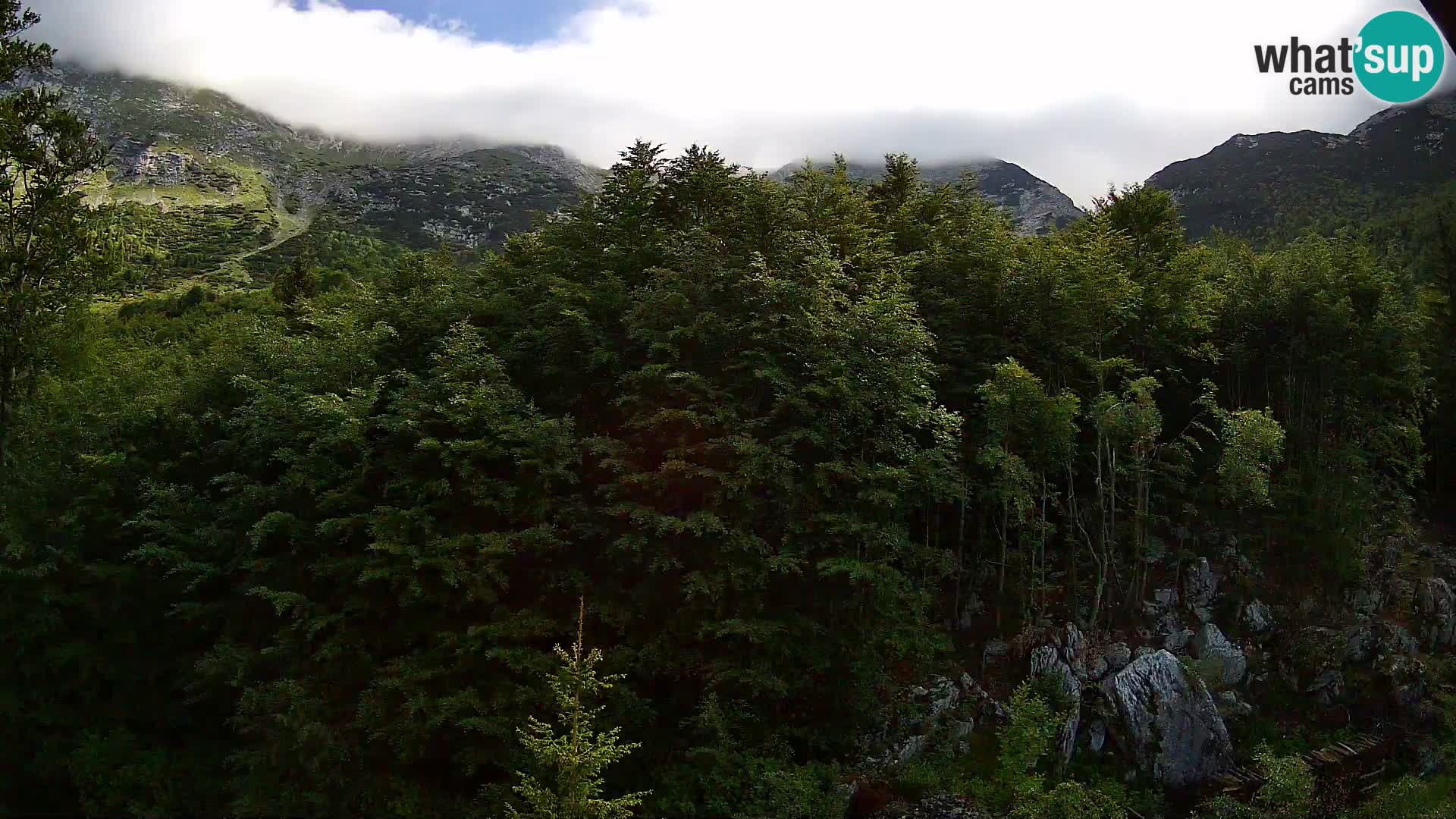 Webcam PLANINA RAZOR (1315) | Blick auf Vogel und Globoko