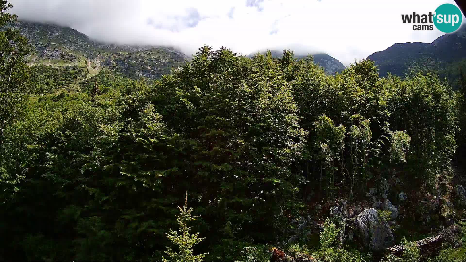 PLANINA RAZOR web kamera (1315) | pogled na Vogel i Globoko