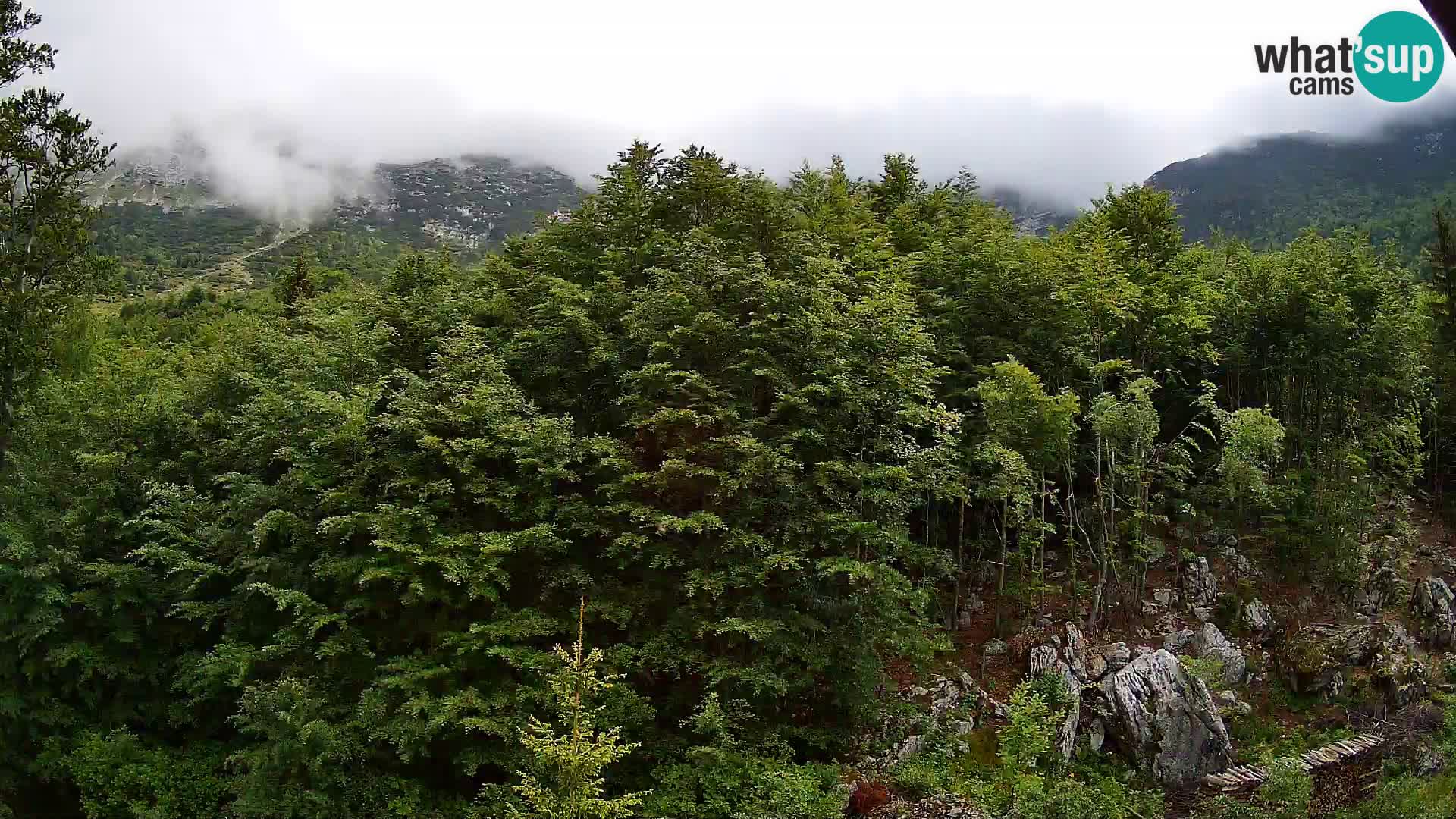 PLANINA RAZOR kamera (1315) | pogled na Vogel in Globoko