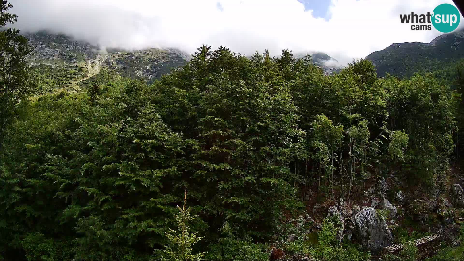 Webcam PLANINA RAZOR (1315) | Blick auf Vogel und Globoko
