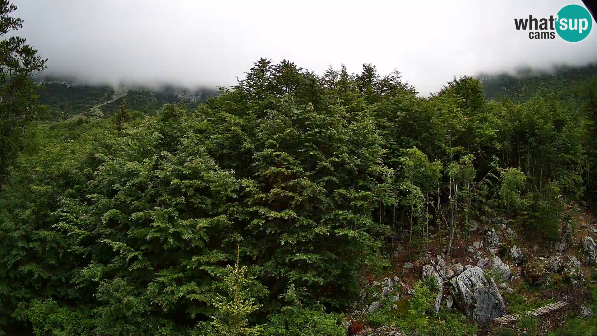 Livecam PLANINA RAZOR (1315) | vue sur Vogel et Globoko