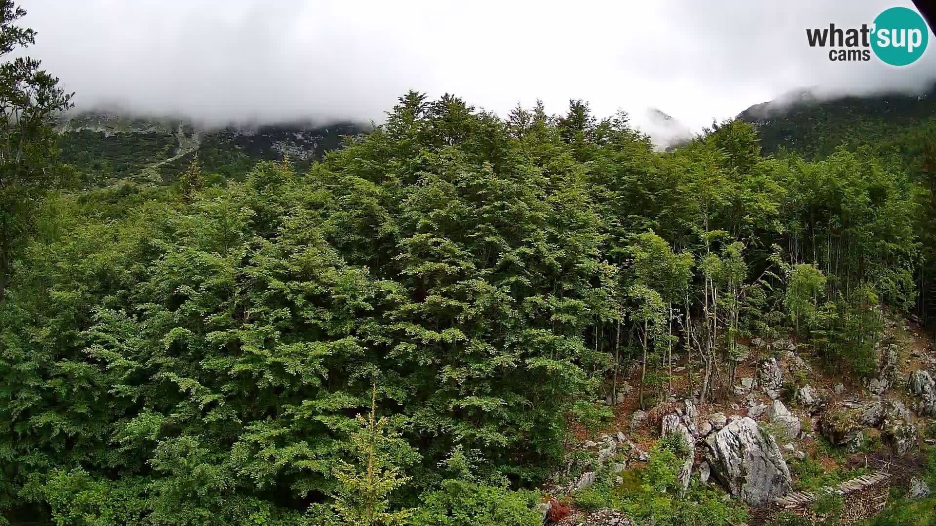 Webcam PLANINA RAZOR (1315) | Blick auf Vogel und Globoko
