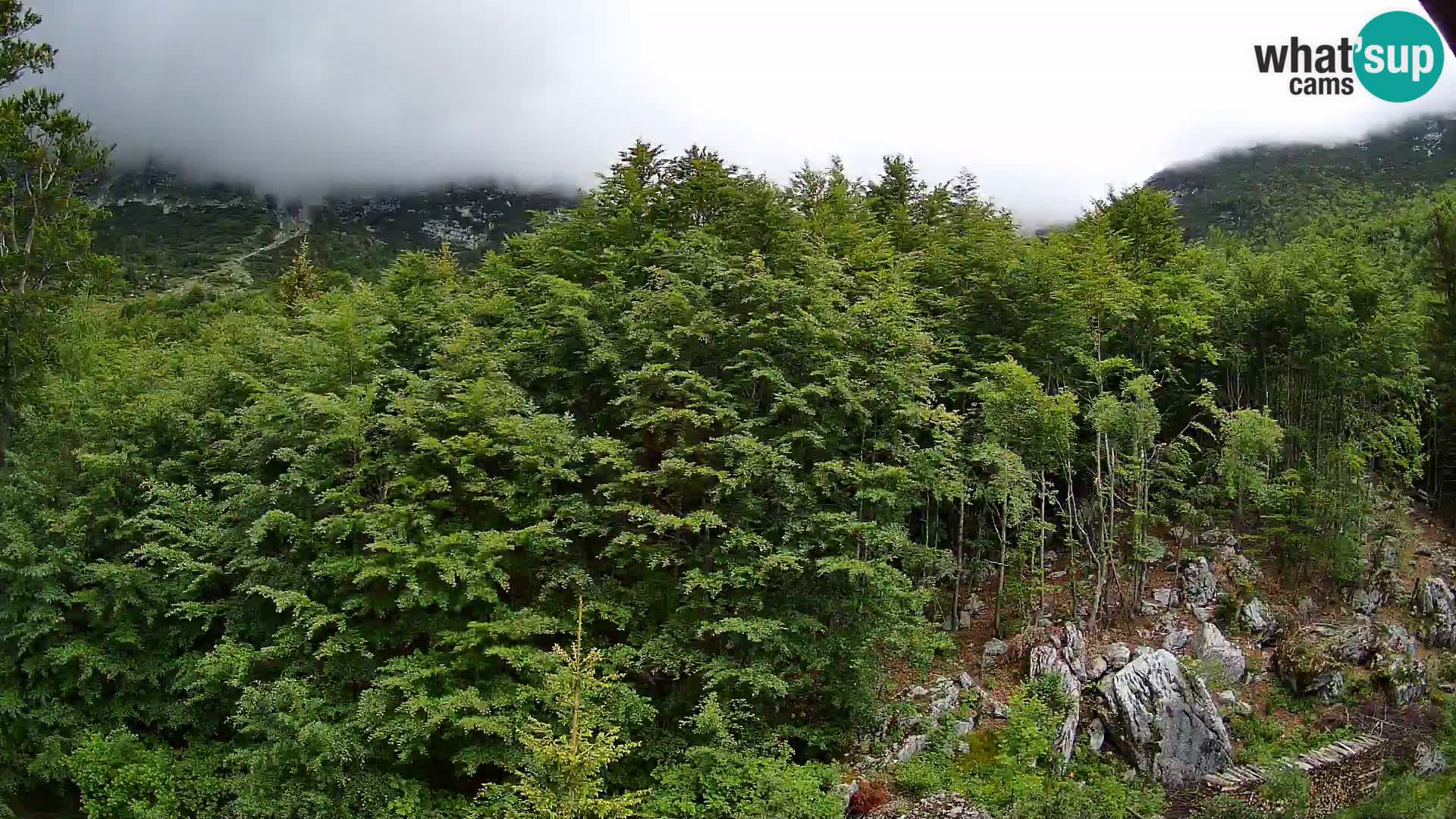 PLANINA RAZOR Live Cam (1315) | vista su Vogel e Globoko