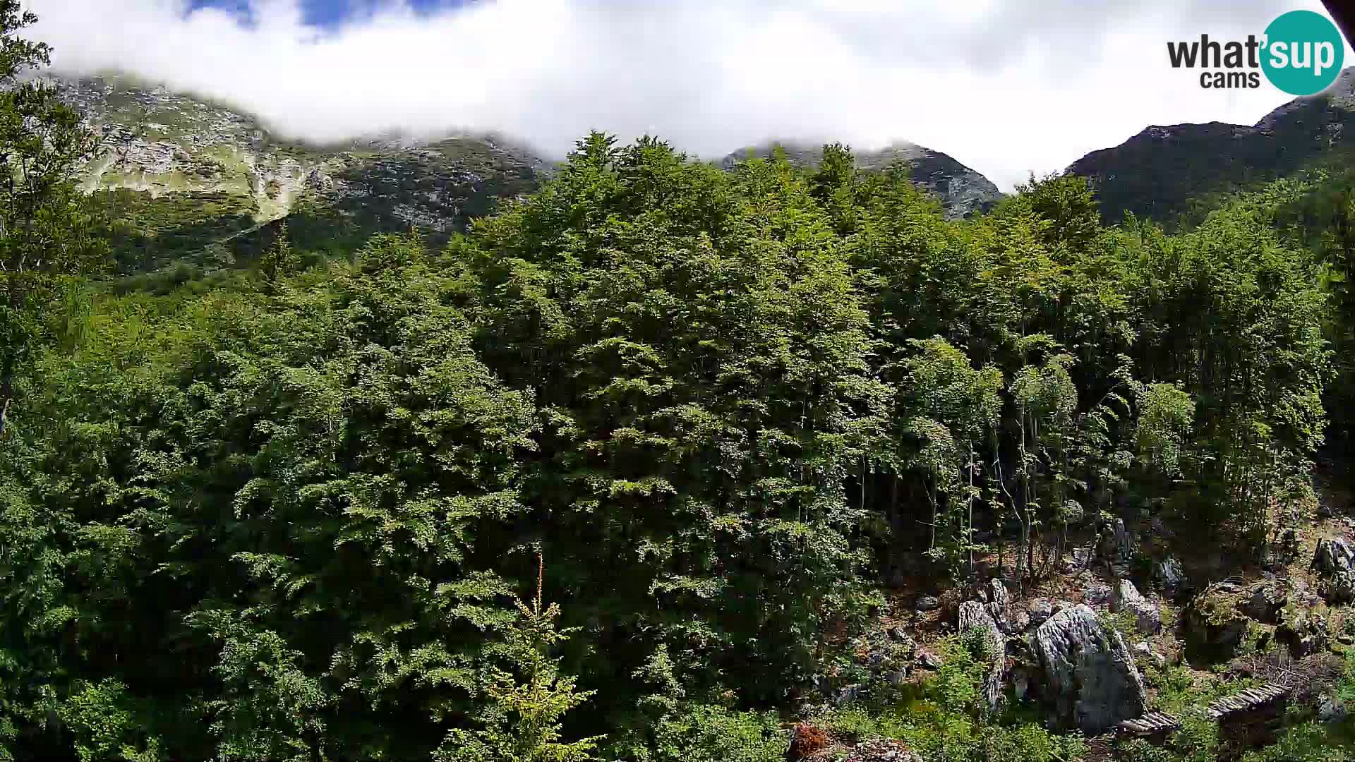 Cámara web PLANINA RAZOR (1315) | vista a Vogel y Globoko