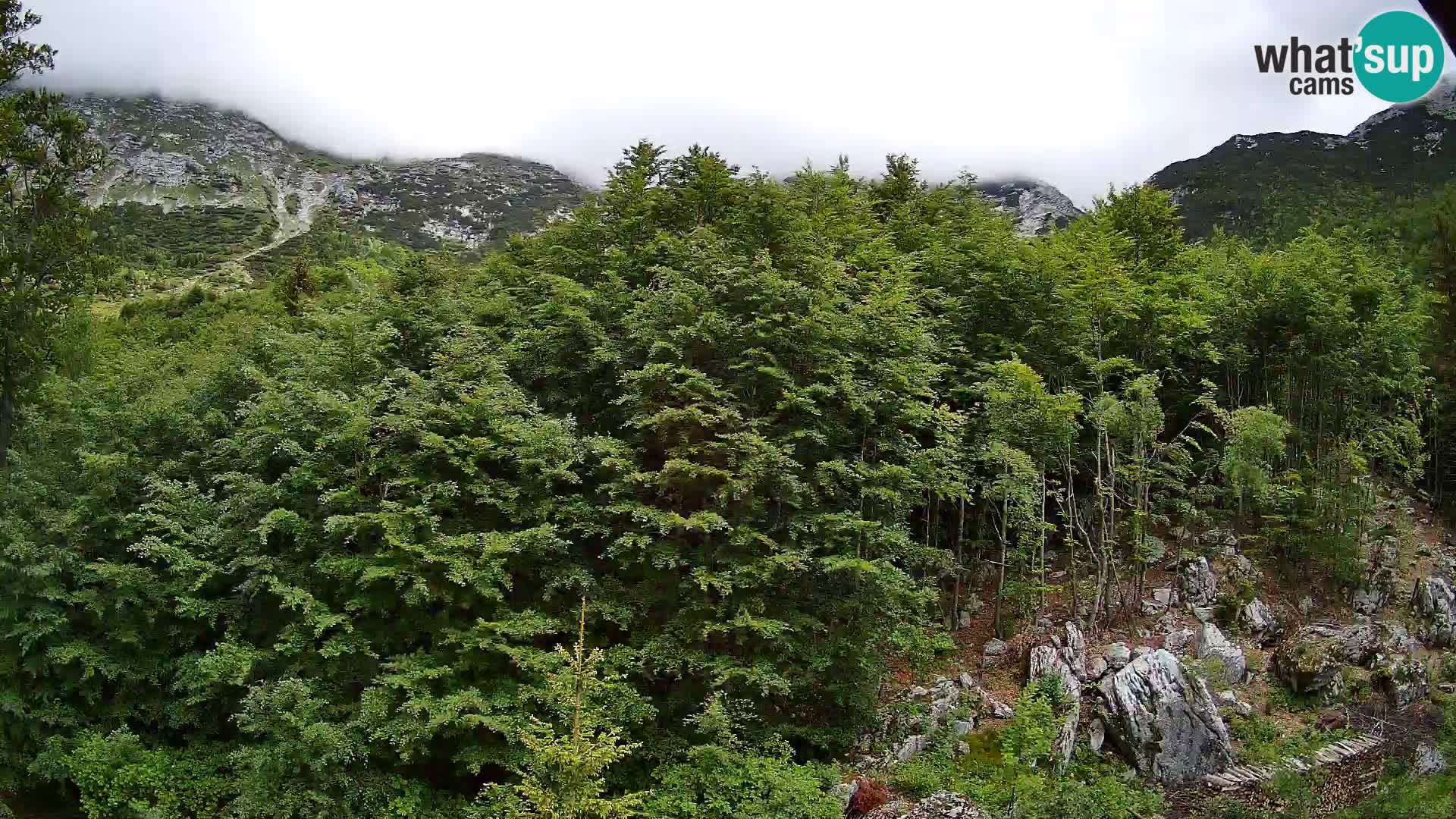 Webcam PLANINA RAZOR (1315) | Blick auf Vogel und Globoko