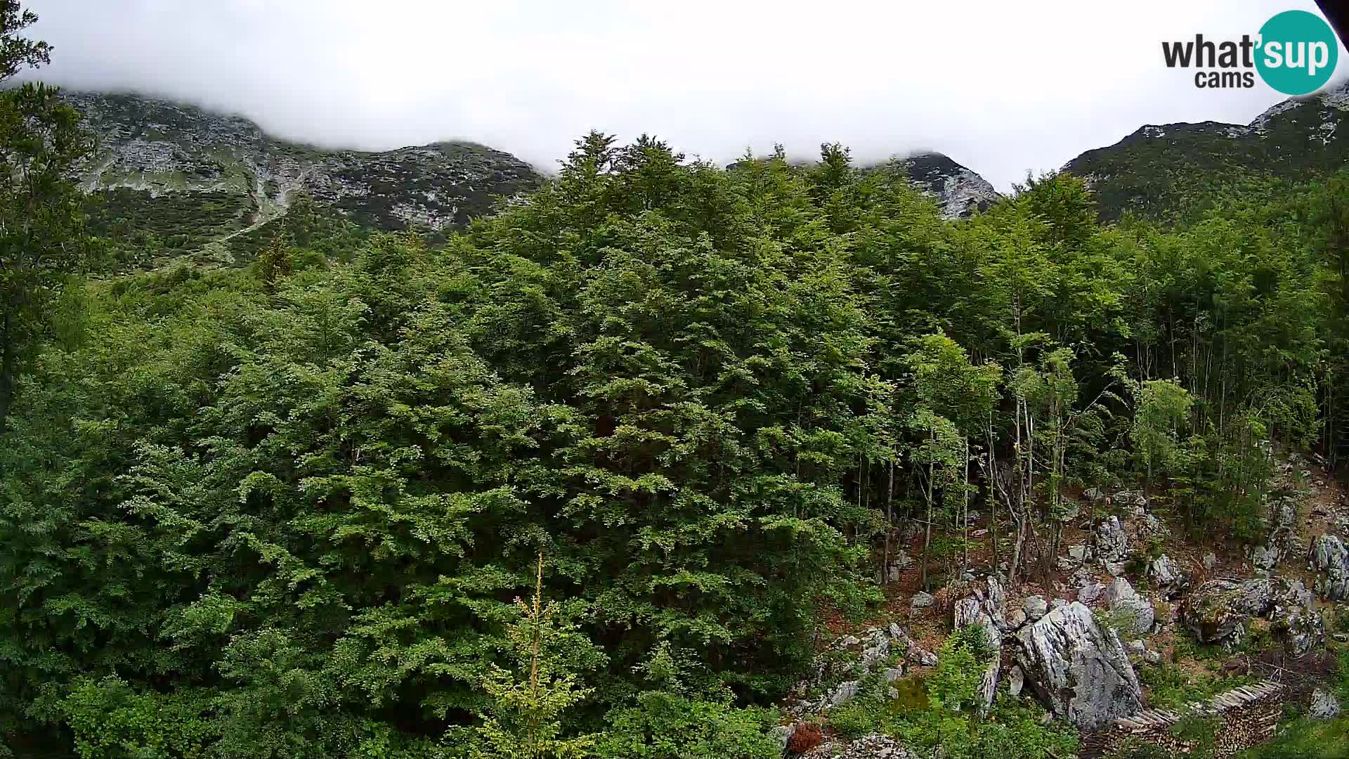 Cámara web PLANINA RAZOR (1315) | vista a Vogel y Globoko