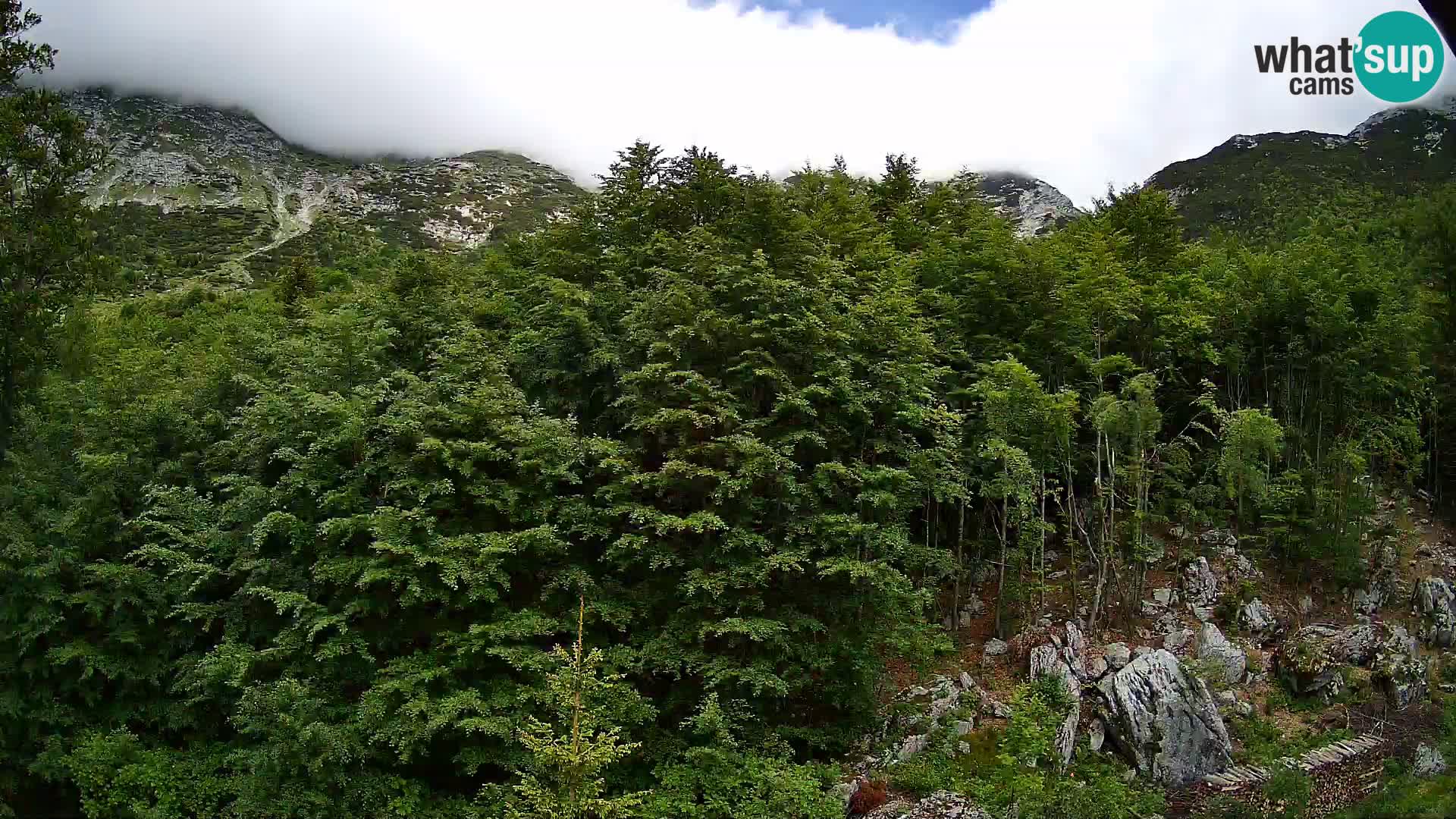 PLANINA RAZOR web kamera (1315) | pogled na Vogel i Globoko