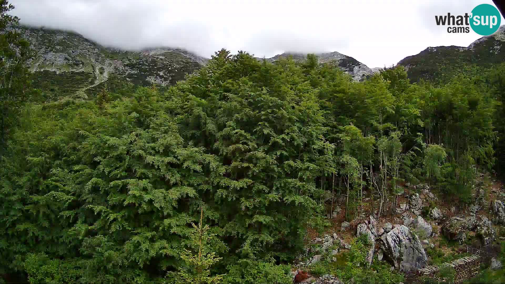 Webcam PLANINA RAZOR (1315) | Blick auf Vogel und Globoko