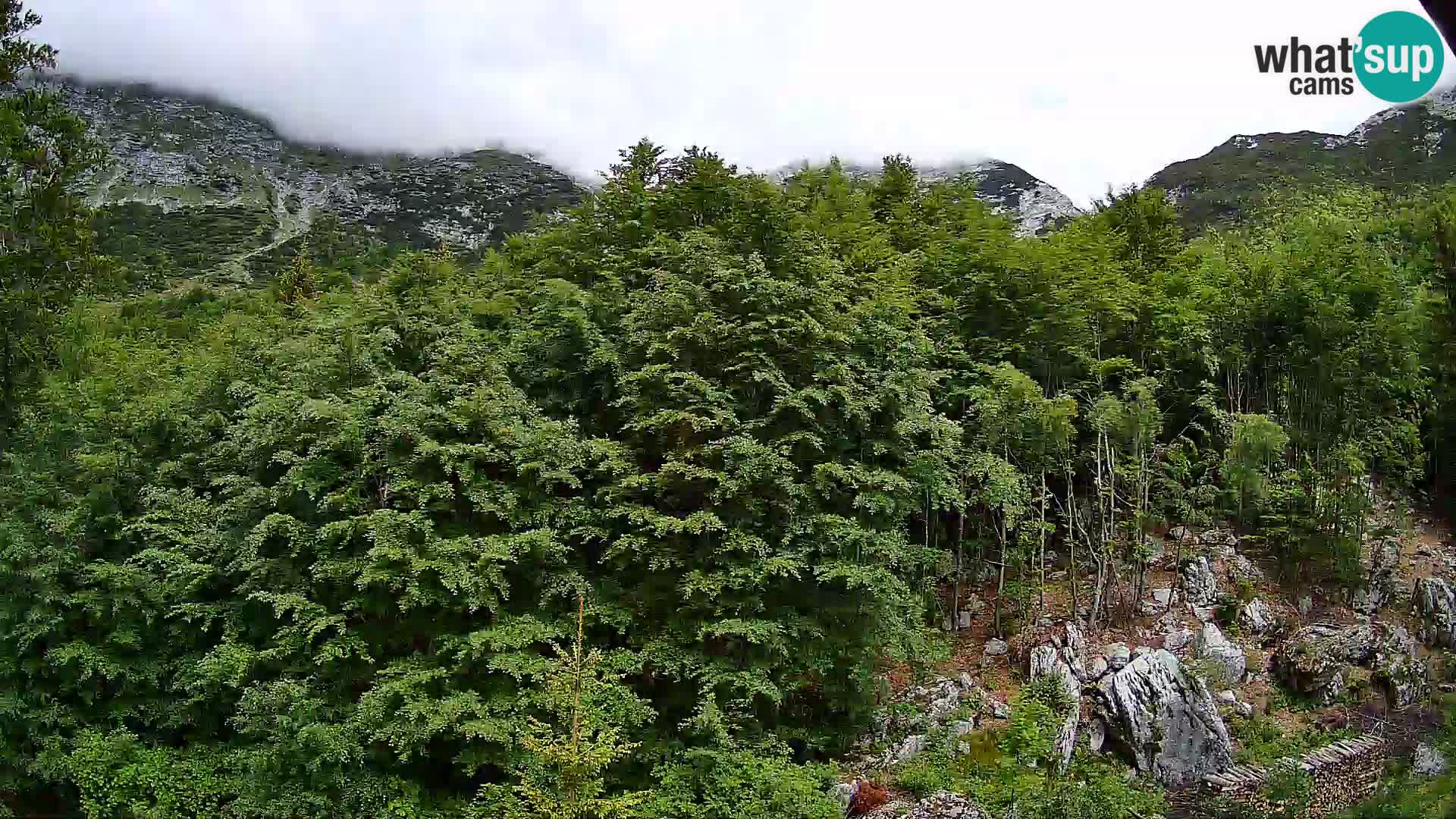 Livecam PLANINA RAZOR (1315) | vue sur Vogel et Globoko