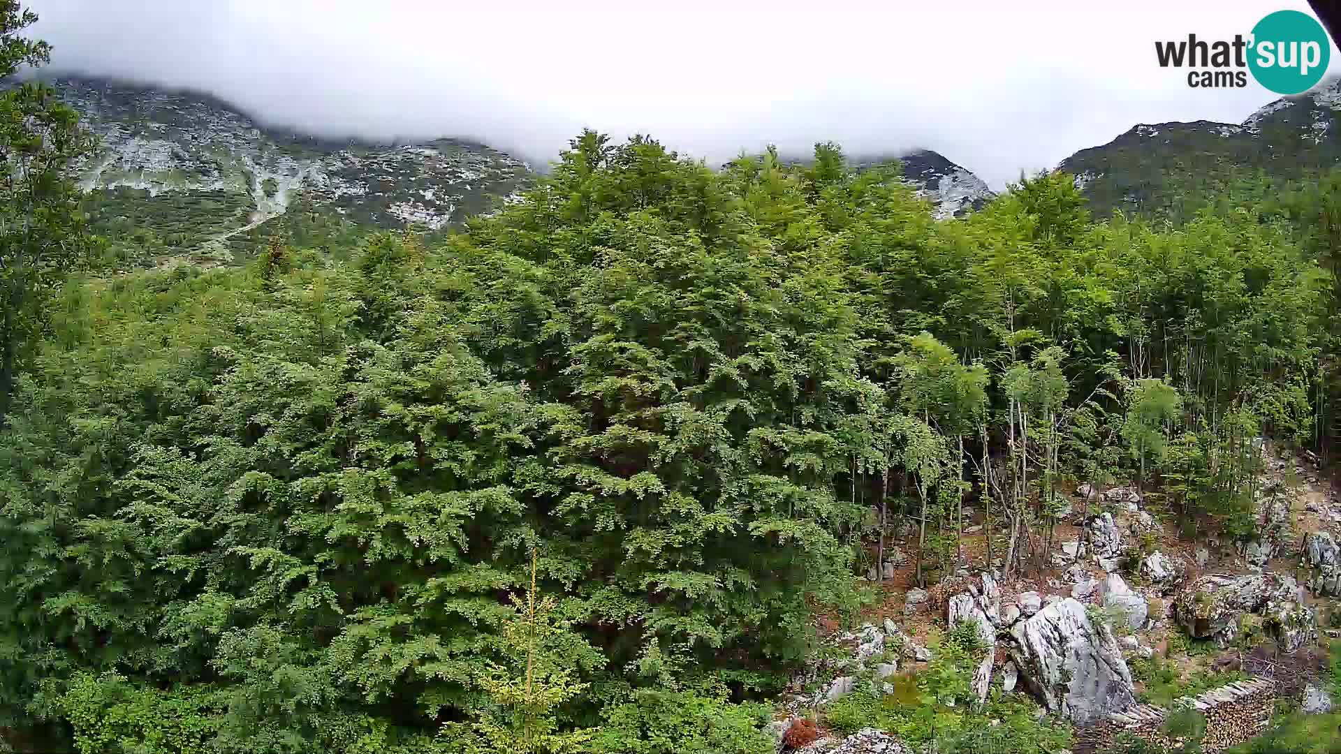 Webcam PLANINA RAZOR (1315) | Blick auf Vogel und Globoko