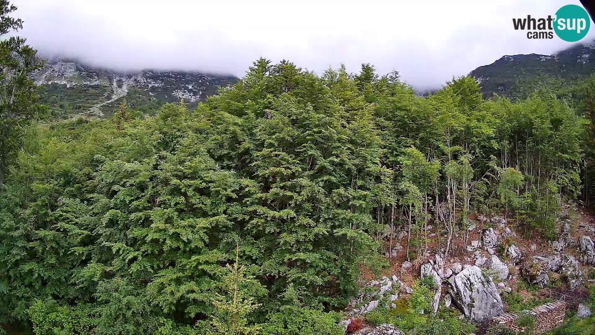 PLANINA RAZOR web kamera (1315) | pogled na Vogel i Globoko