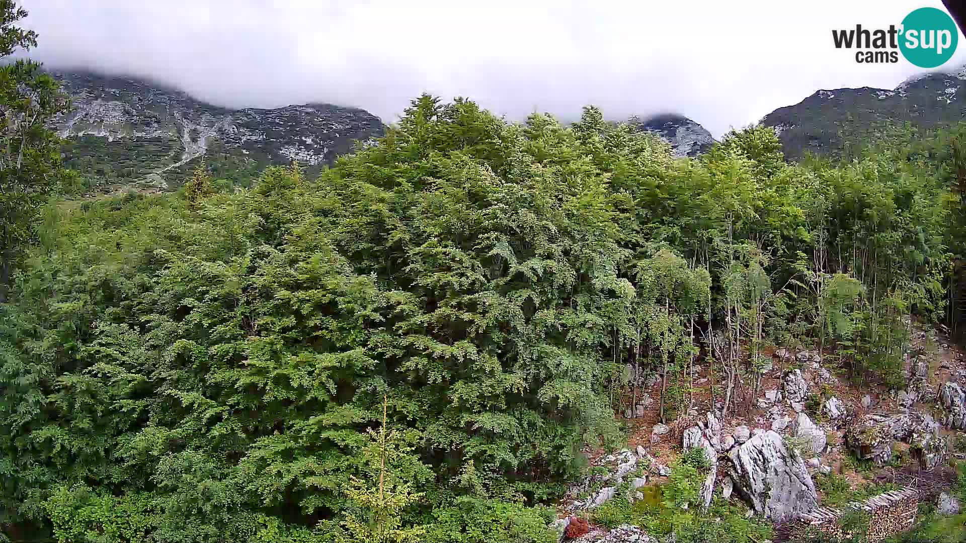 Cámara web PLANINA RAZOR (1315) | vista a Vogel y Globoko
