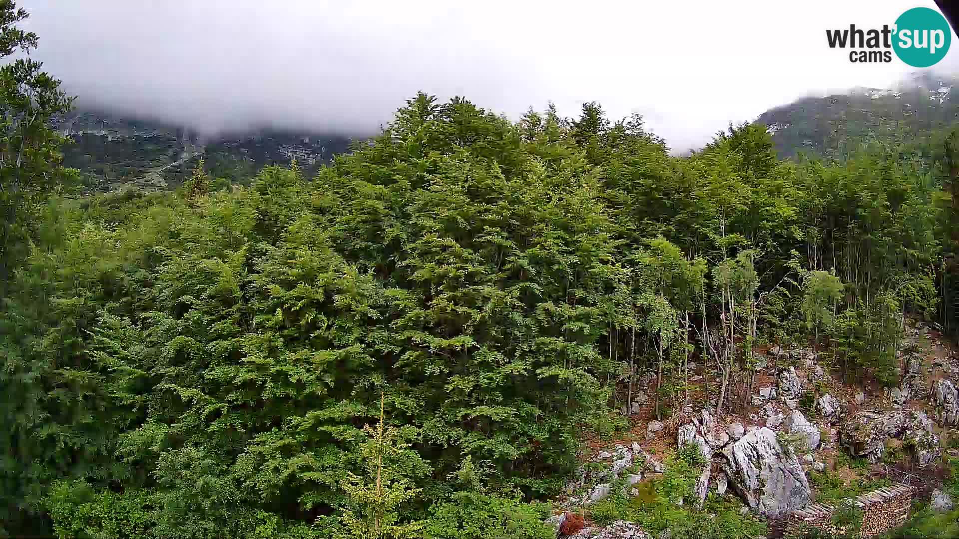 PLANINA RAZOR web kamera (1315) | pogled na Vogel i Globoko