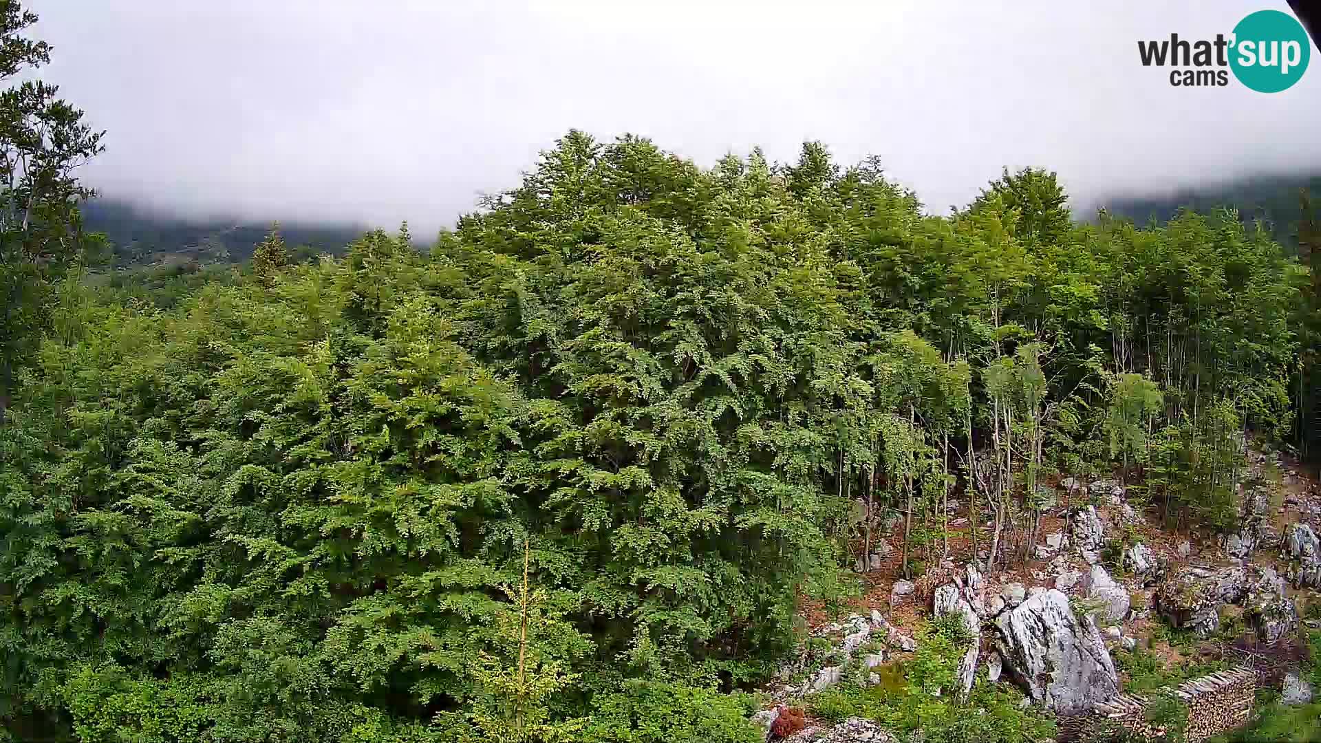 PLANINA RAZOR webcam (1315) | view to Vogel and Globoko