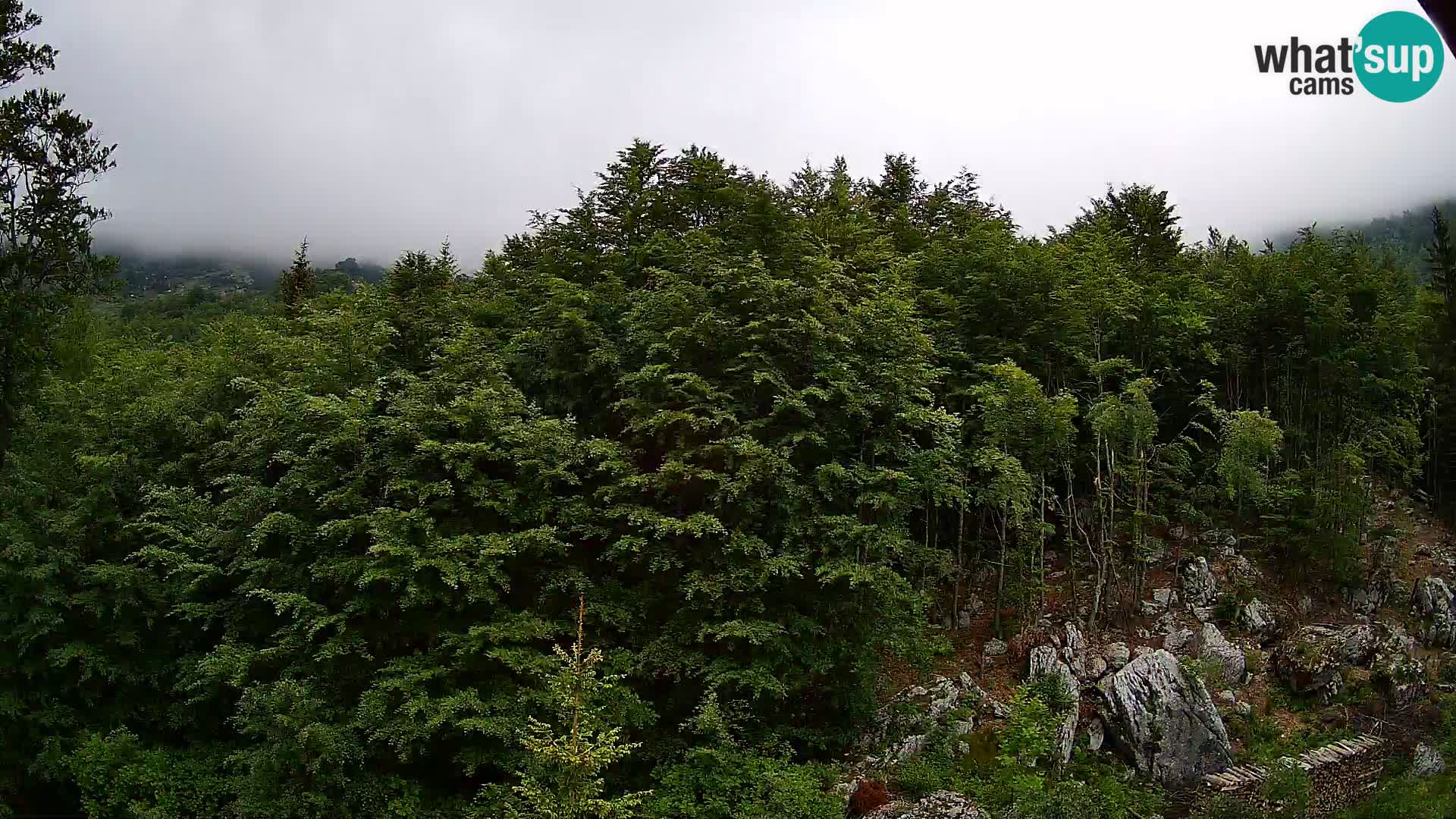 PLANINA RAZOR web kamera (1315) | pogled na Vogel i Globoko