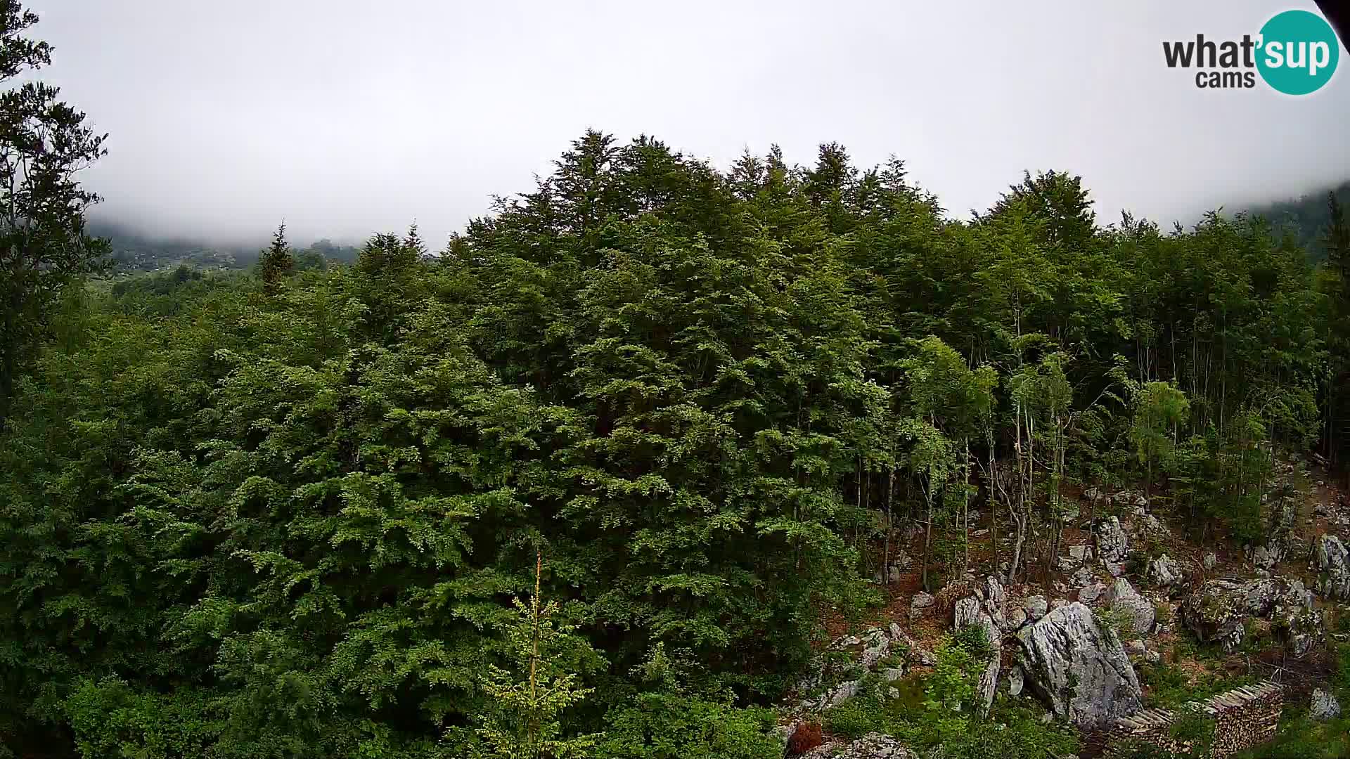 PLANINA RAZOR web kamera (1315) | pogled na Vogel i Globoko