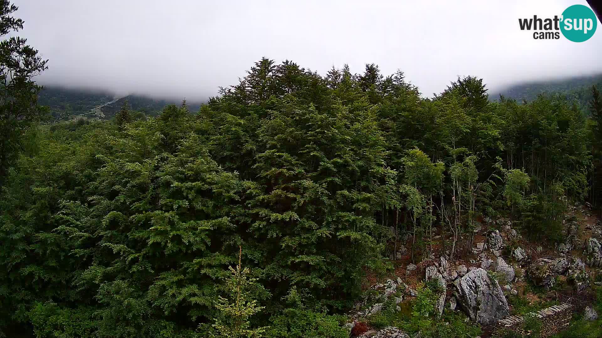 Webcam PLANINA RAZOR (1315) | Blick auf Vogel und Globoko