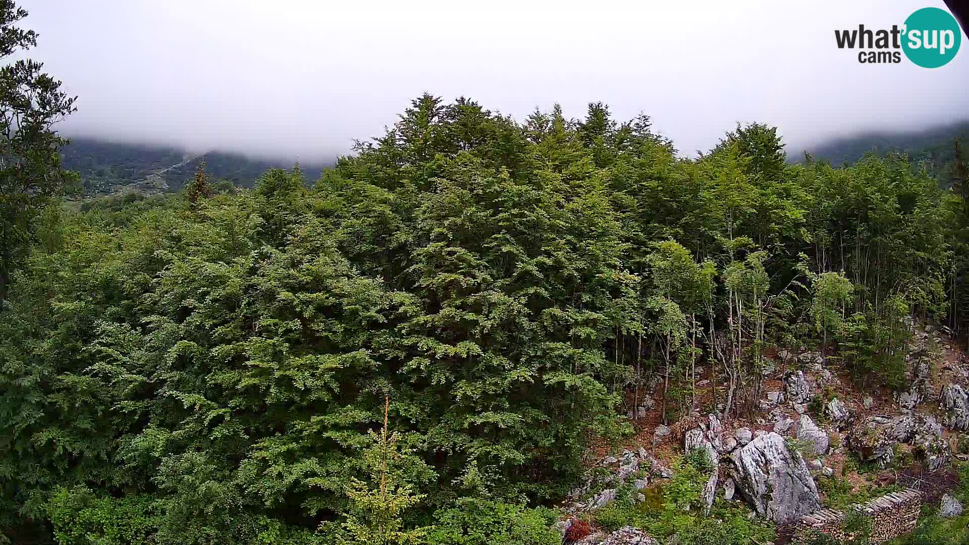 PLANINA RAZOR webcam (1315) | view to Vogel and Globoko