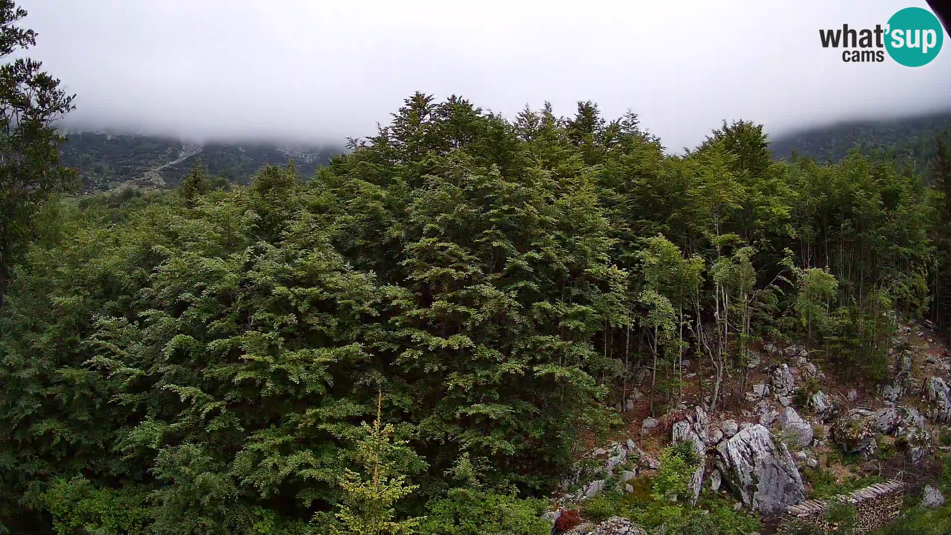 PLANINA RAZOR Live Cam (1315) | vista su Vogel e Globoko