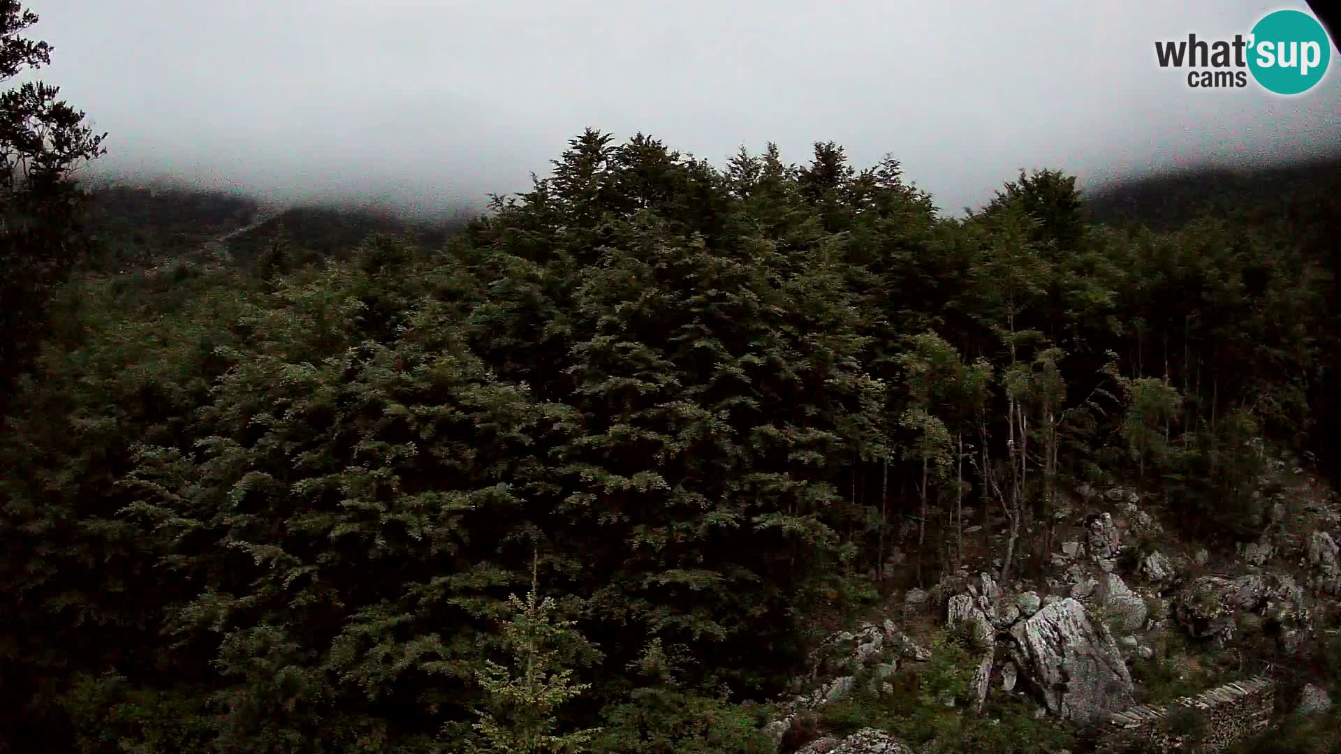 PLANINA RAZOR webcam (1315) | view to Vogel and Globoko