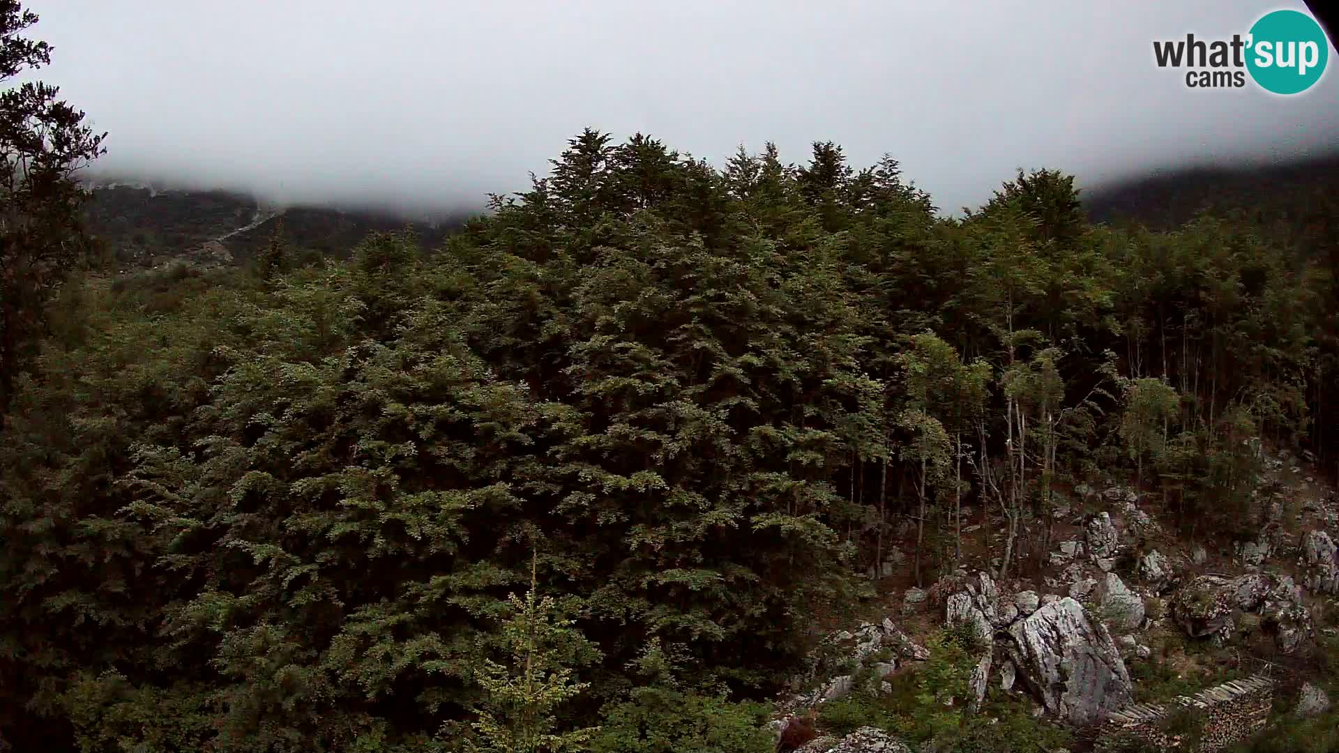 PLANINA RAZOR webcam (1315) | view to Vogel and Globoko