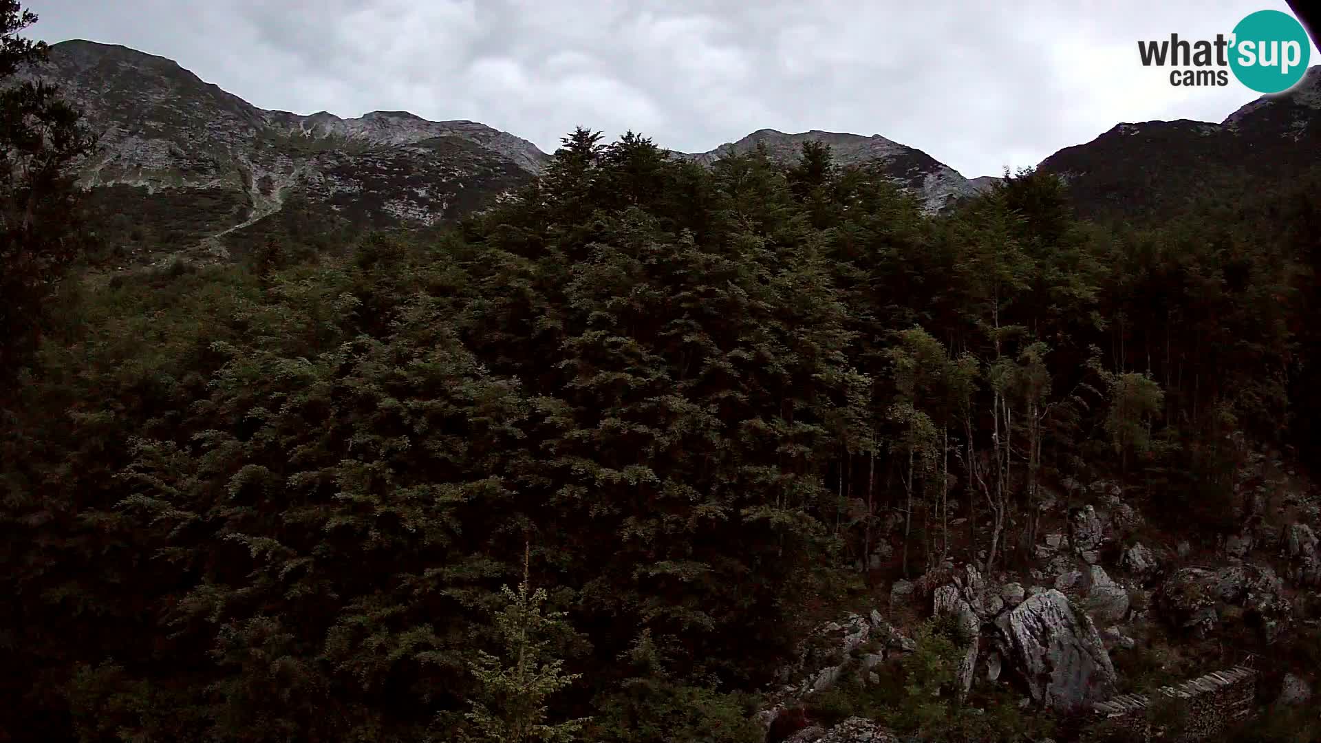 PLANINA RAZOR kamera (1315) | pogled na Vogel in Globoko