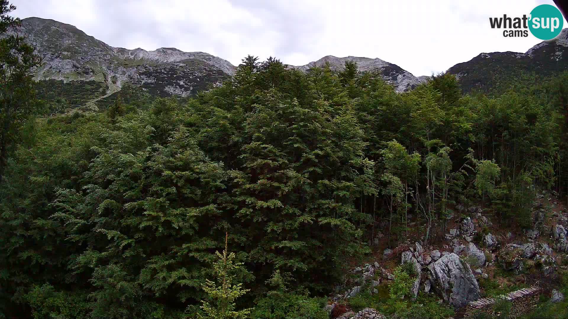 PLANINA RAZOR Live Cam (1315) | vista su Vogel e Globoko