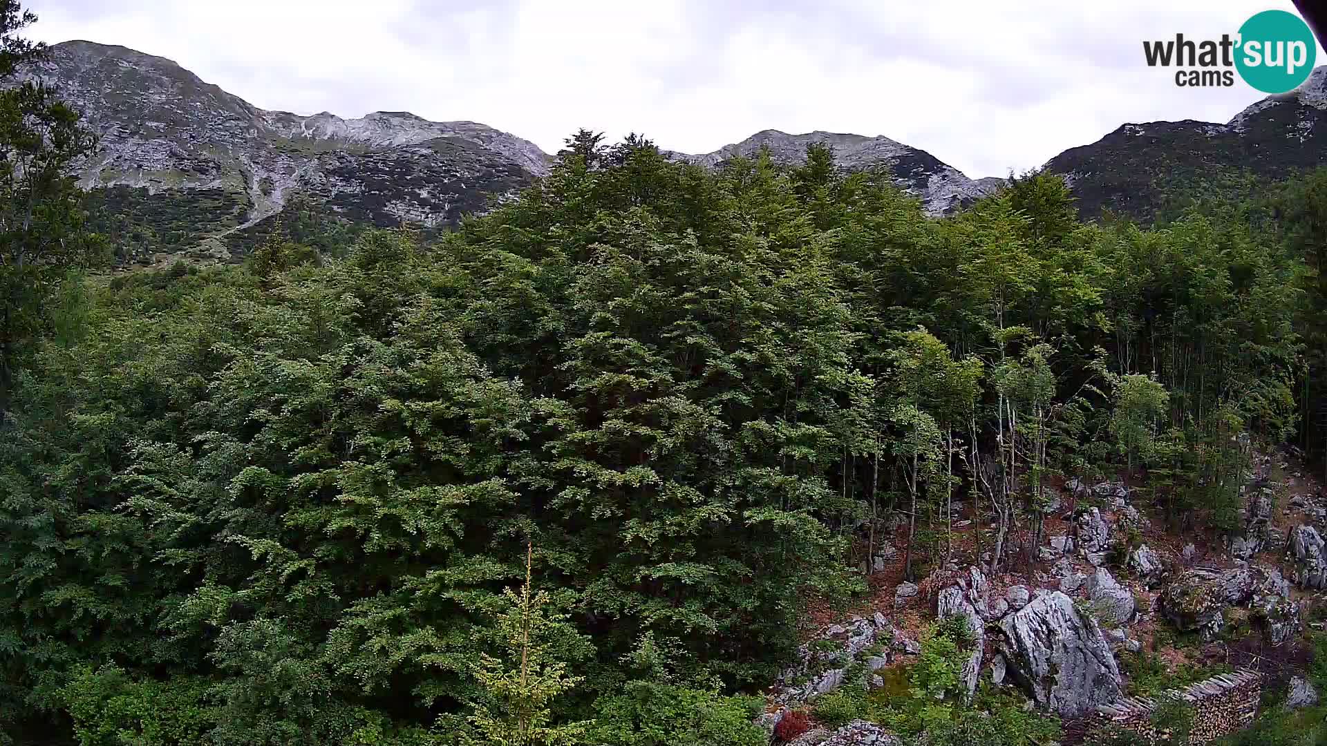 Cámara web PLANINA RAZOR (1315) | vista a Vogel y Globoko