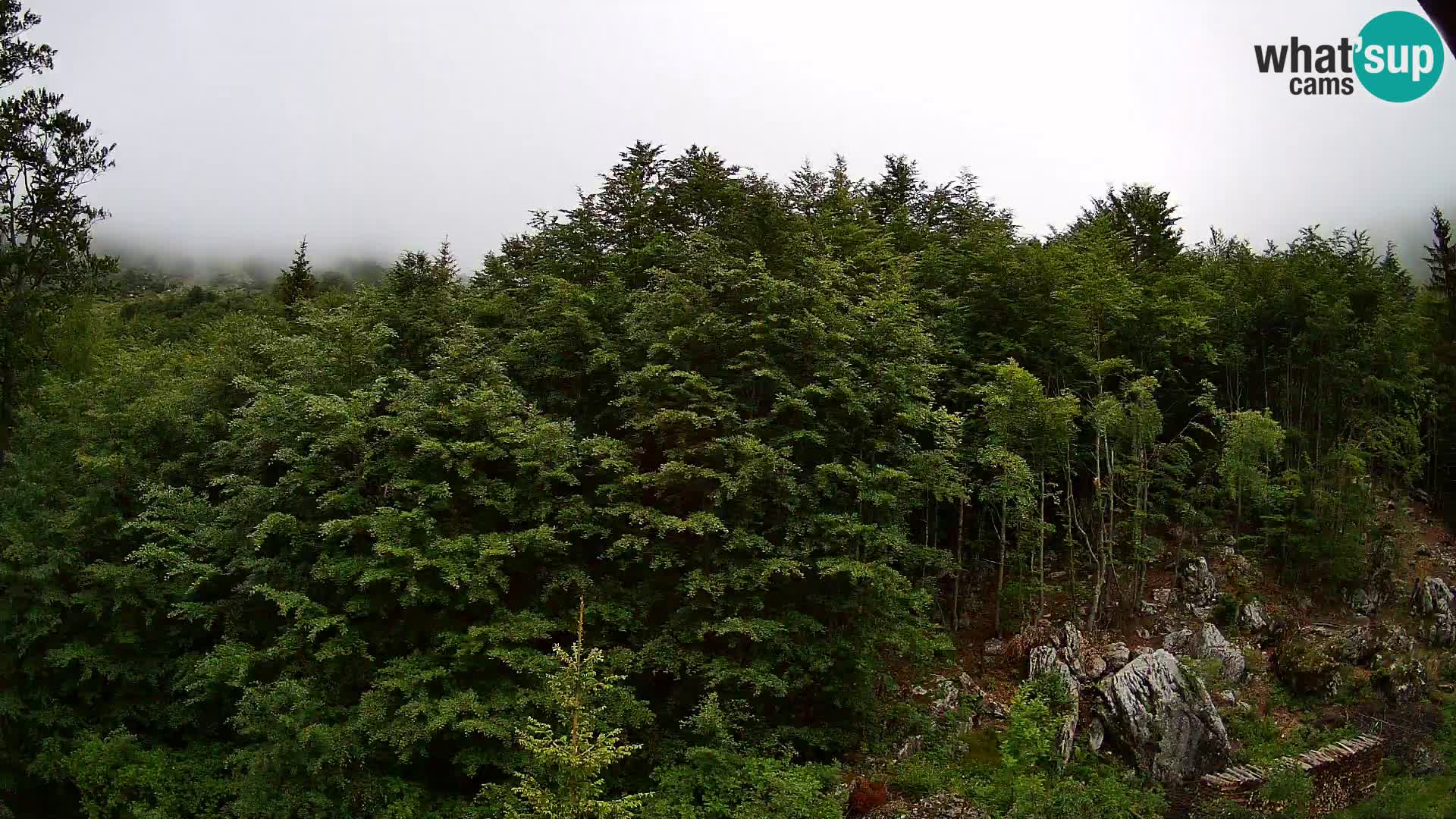 Livecam PLANINA RAZOR (1315) | vue sur Vogel et Globoko