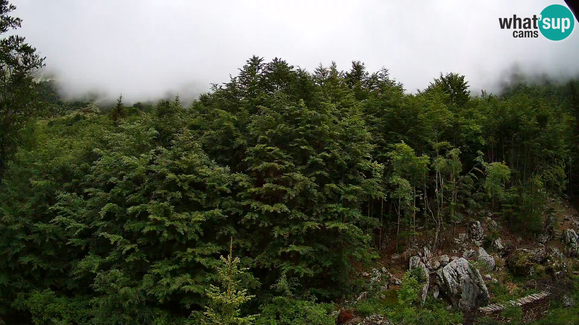 Livecam PLANINA RAZOR (1315) | vue sur Vogel et Globoko