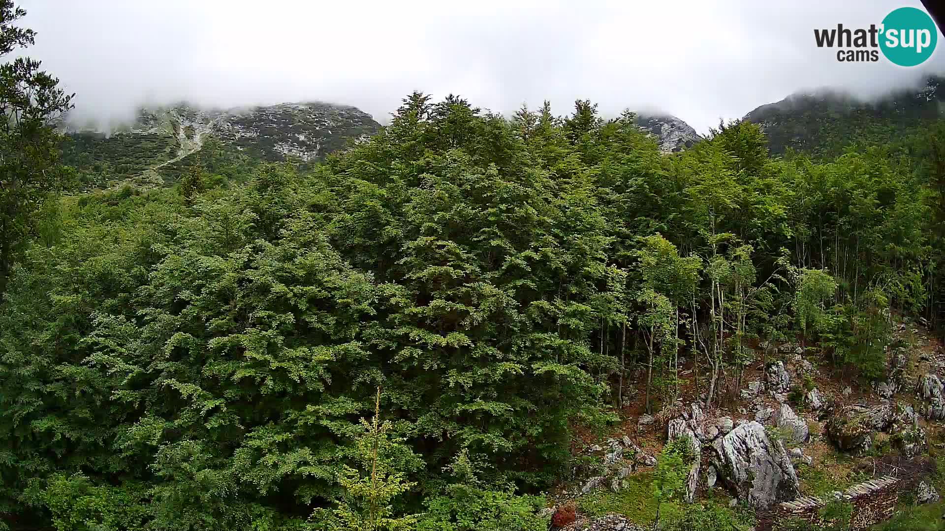 PLANINA RAZOR kamera (1315) | pogled na Vogel in Globoko