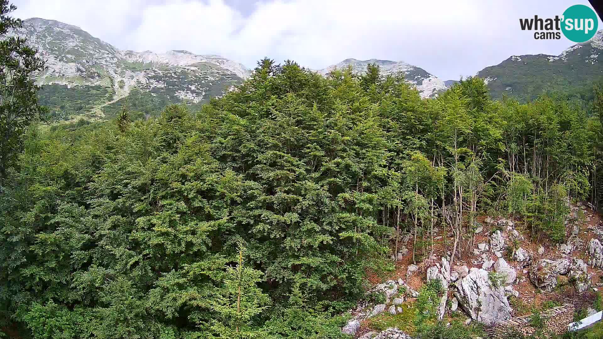 PLANINA RAZOR kamera (1315) | pogled na Vogel in Globoko