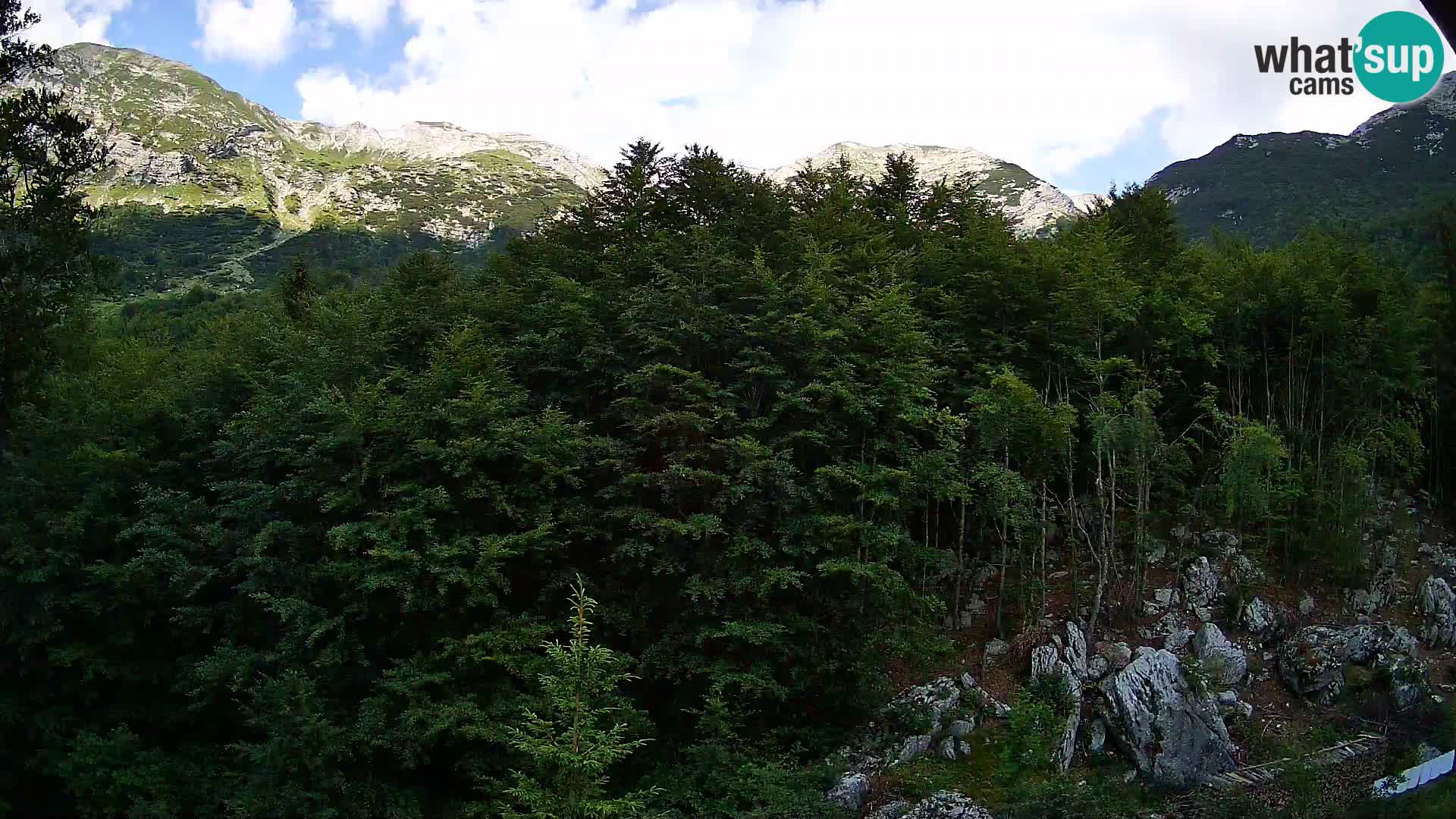 PLANINA RAZOR kamera (1315) | pogled na Vogel in Globoko