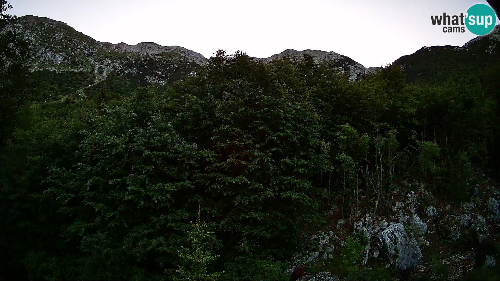 PLANINA RAZOR kamera (1315) | pogled na Vogel in Globoko