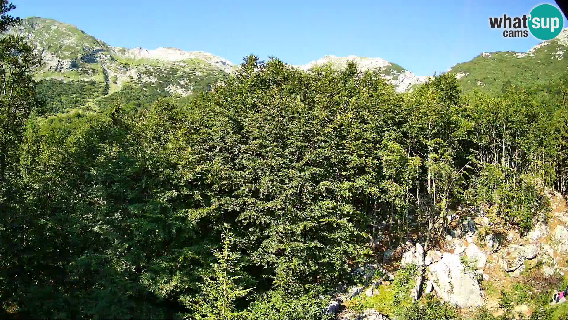 Webcam PLANINA RAZOR (1315) | Blick auf Vogel und Globoko