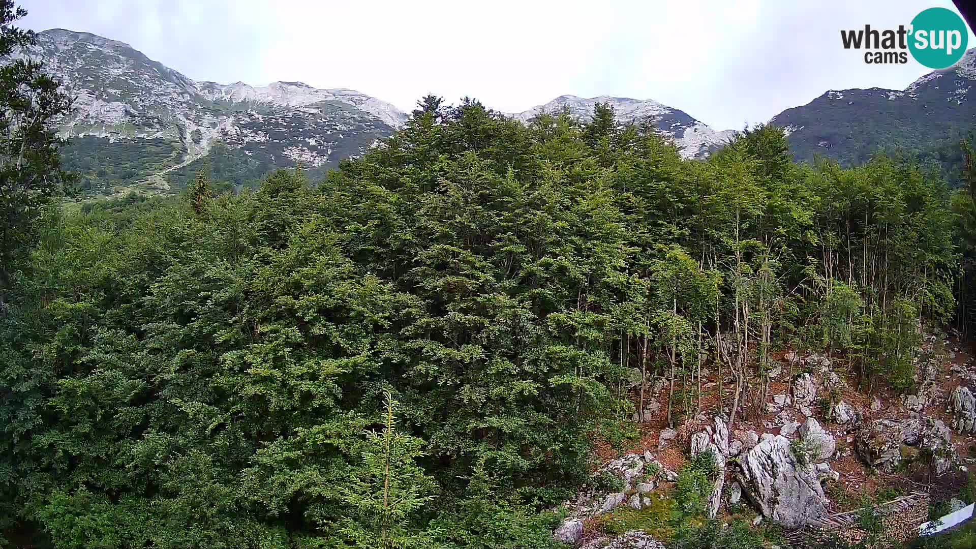 PLANINA RAZOR web kamera (1315) | pogled na Vogel i Globoko