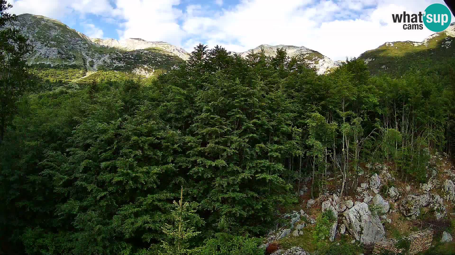 PLANINA RAZOR Live Cam (1315) | vista su Vogel e Globoko