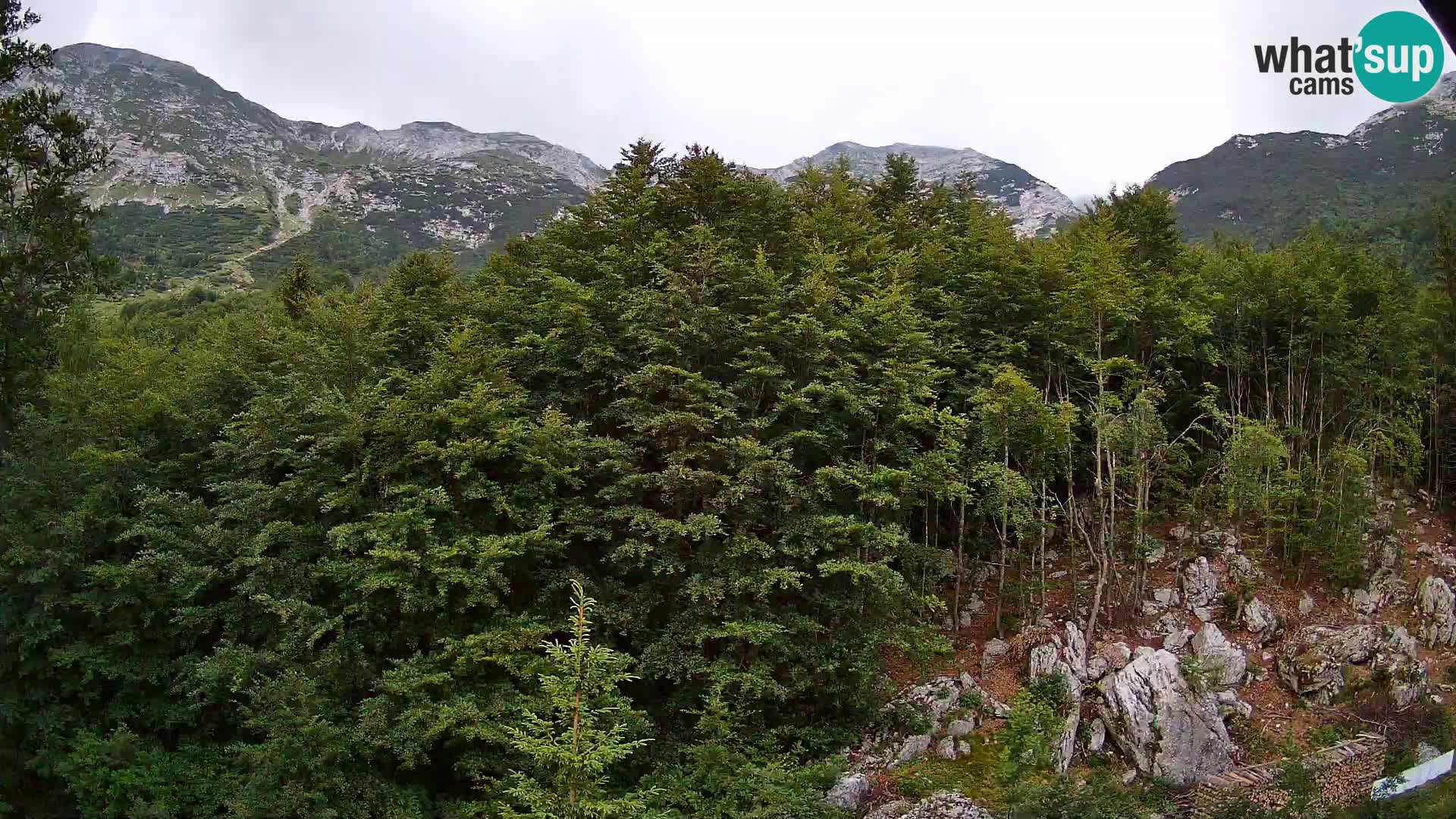 PLANINA RAZOR web kamera (1315) | pogled na Vogel i Globoko