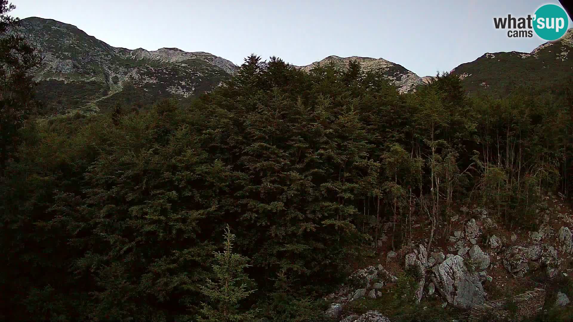 Webcam PLANINA RAZOR (1315) | Blick auf Vogel und Globoko