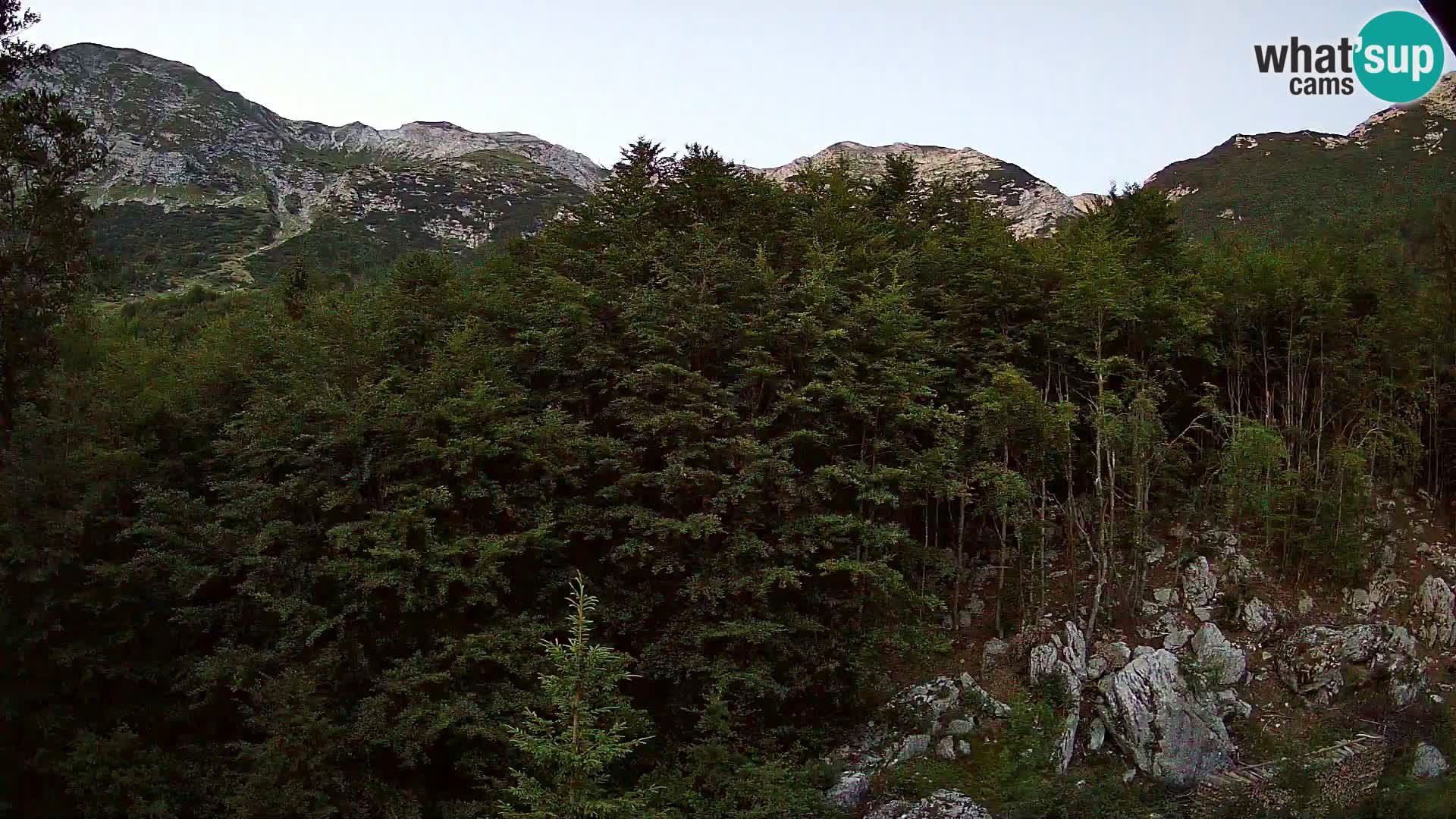PLANINA RAZOR webcam (1315) | view to Vogel and Globoko