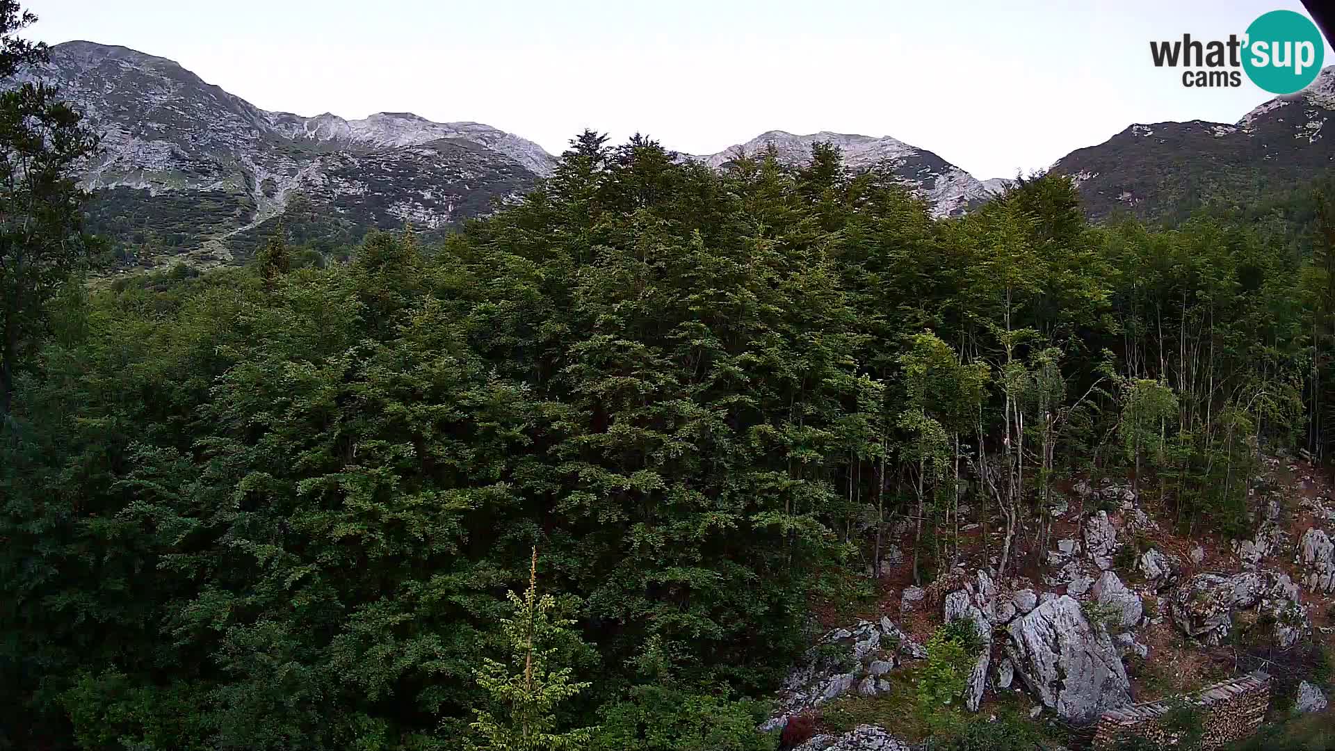 PLANINA RAZOR webcam (1315) | view to Vogel and Globoko