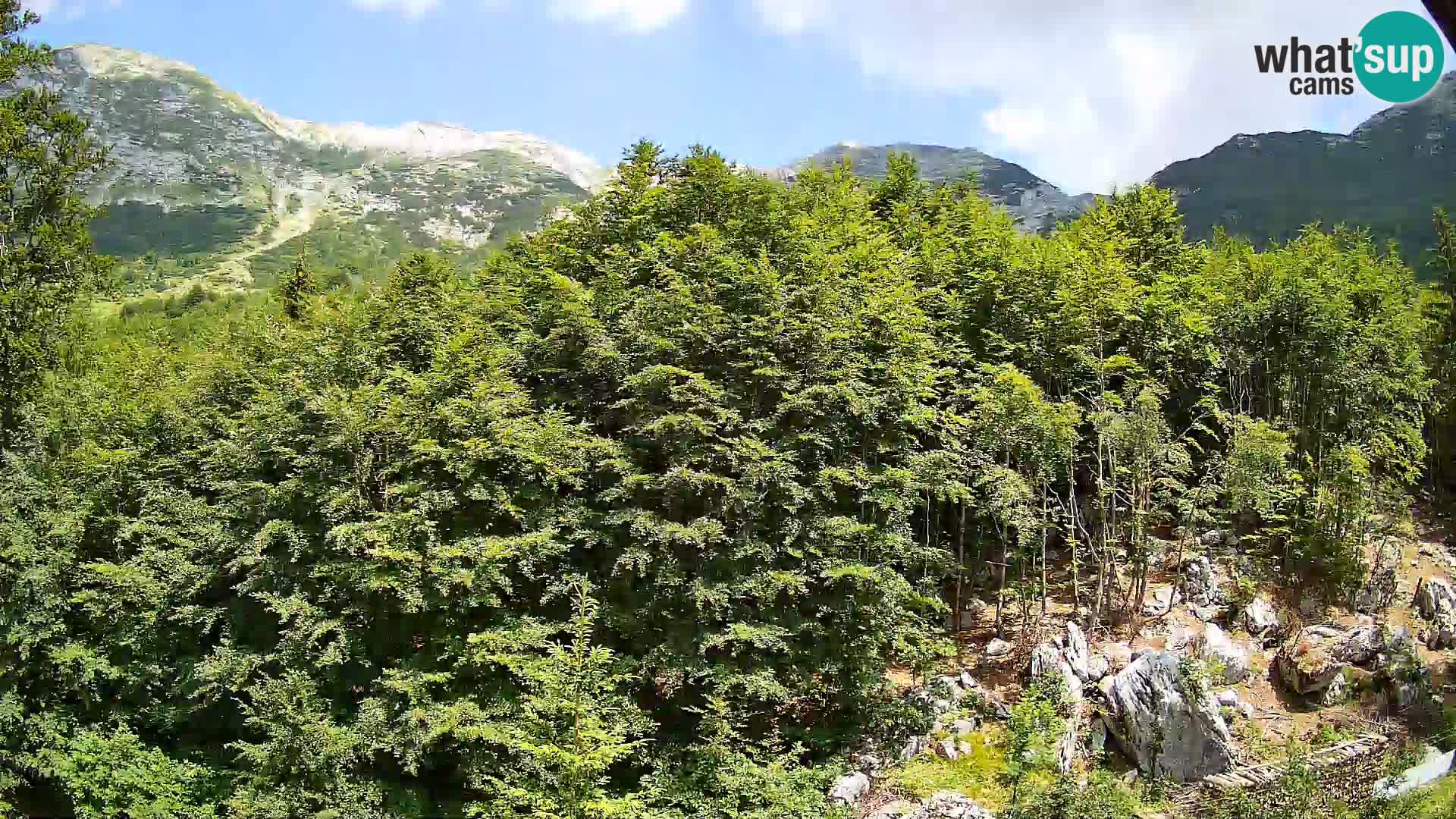 PLANINA RAZOR kamera (1315) | pogled na Vogel in Globoko