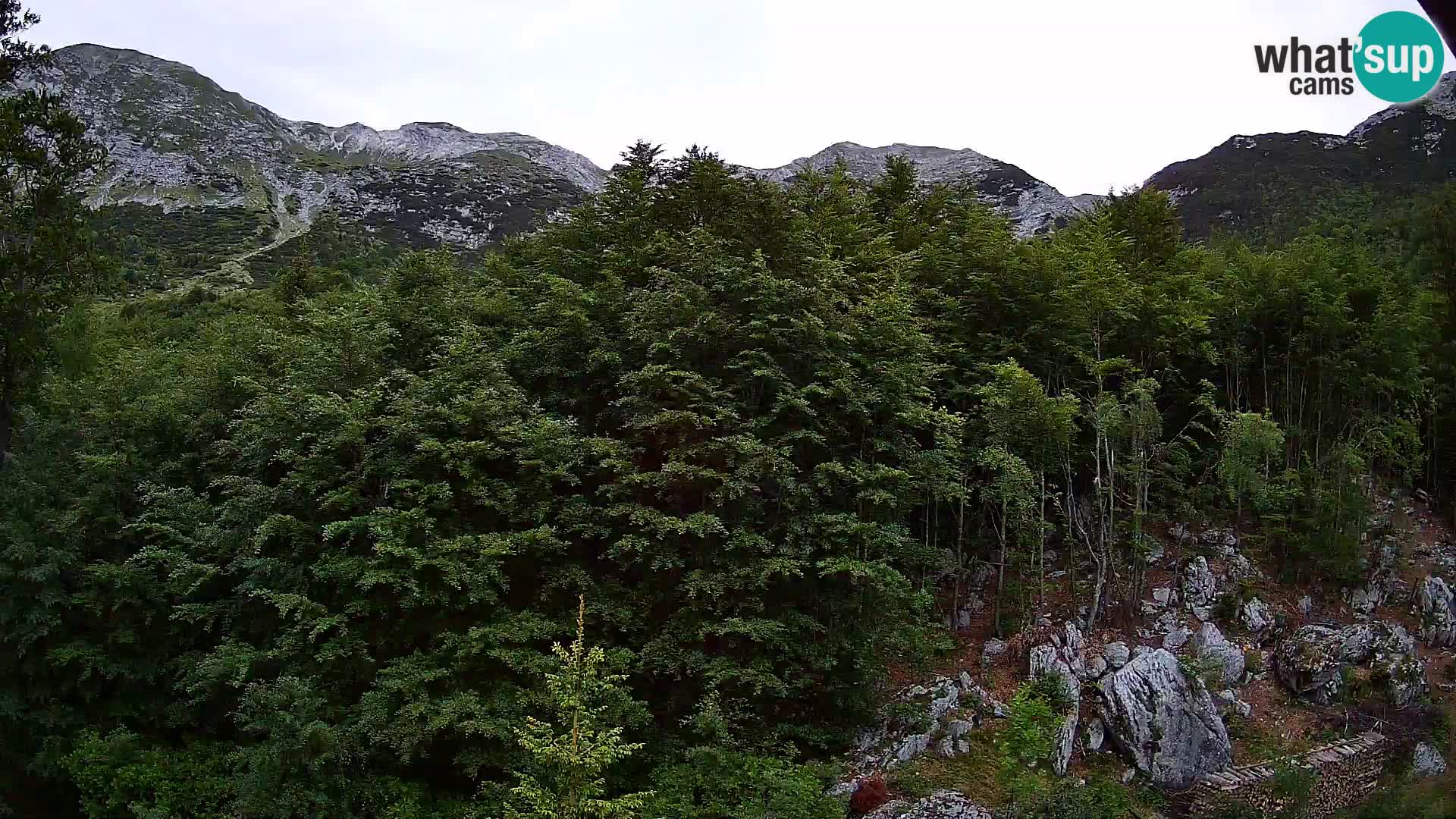 Livecam PLANINA RAZOR (1315) | vue sur Vogel et Globoko