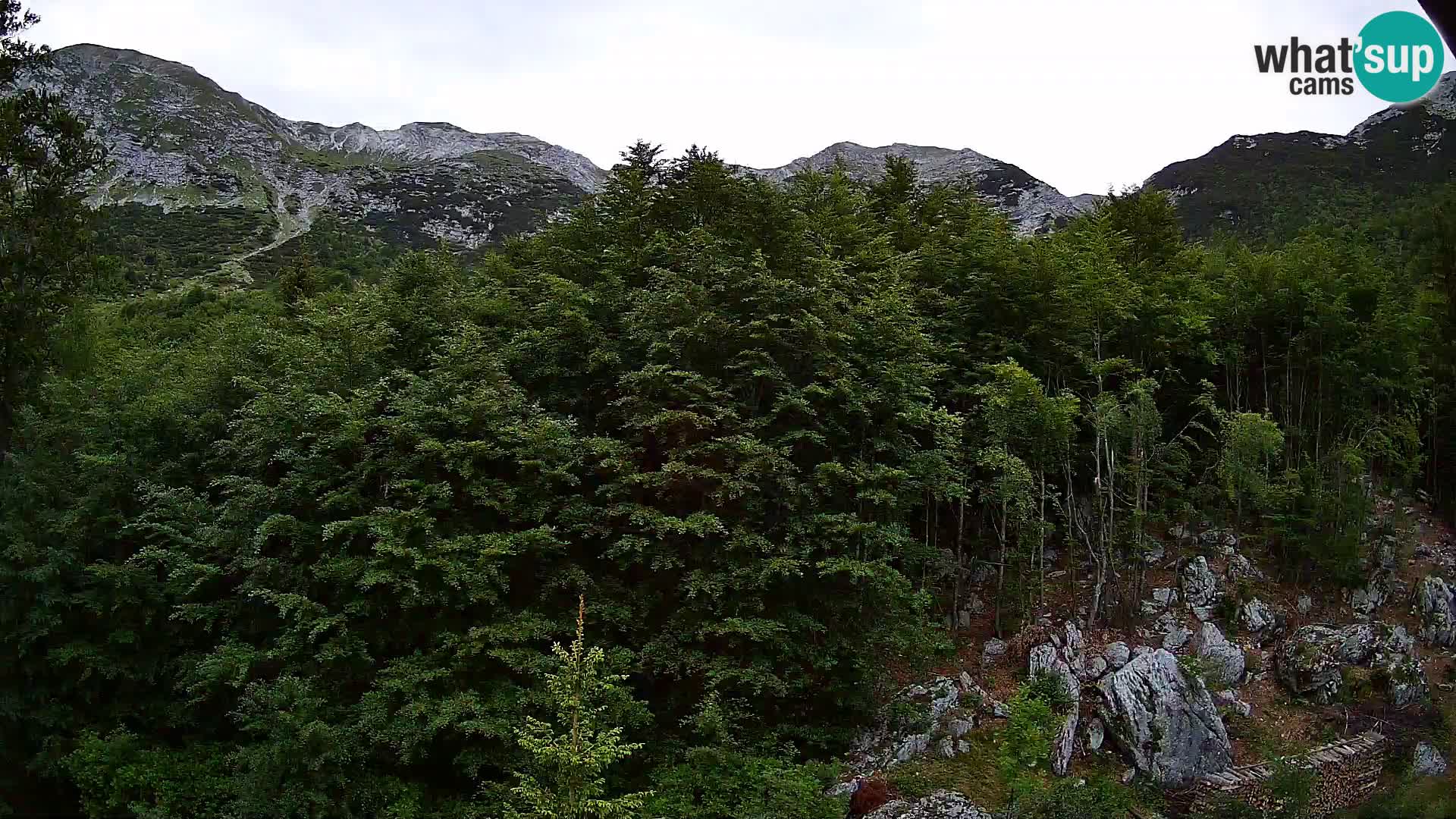 PLANINA RAZOR webcam (1315) | view to Vogel and Globoko