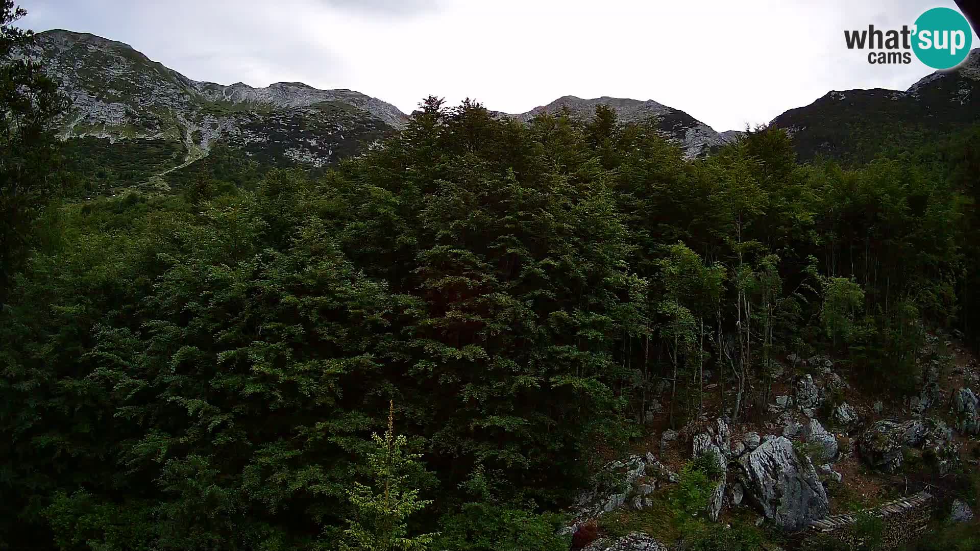PLANINA RAZOR kamera (1315) | pogled na Vogel in Globoko